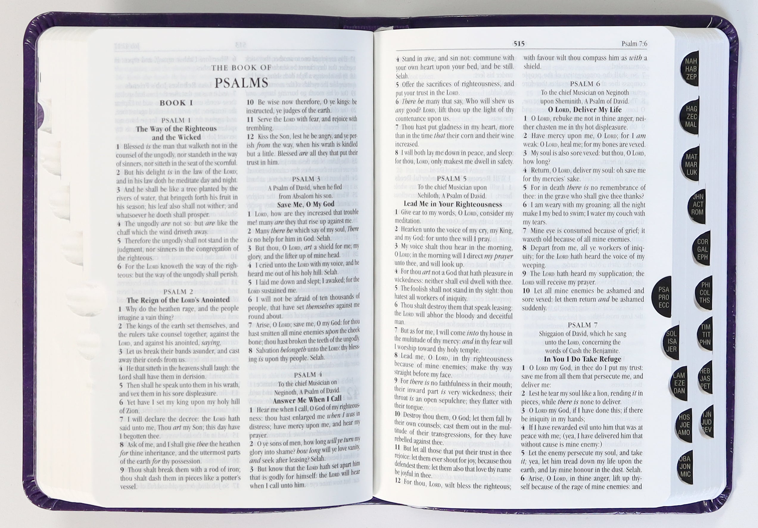 KJV Holy Bible Compact Amethyst (Red Letter Edition)