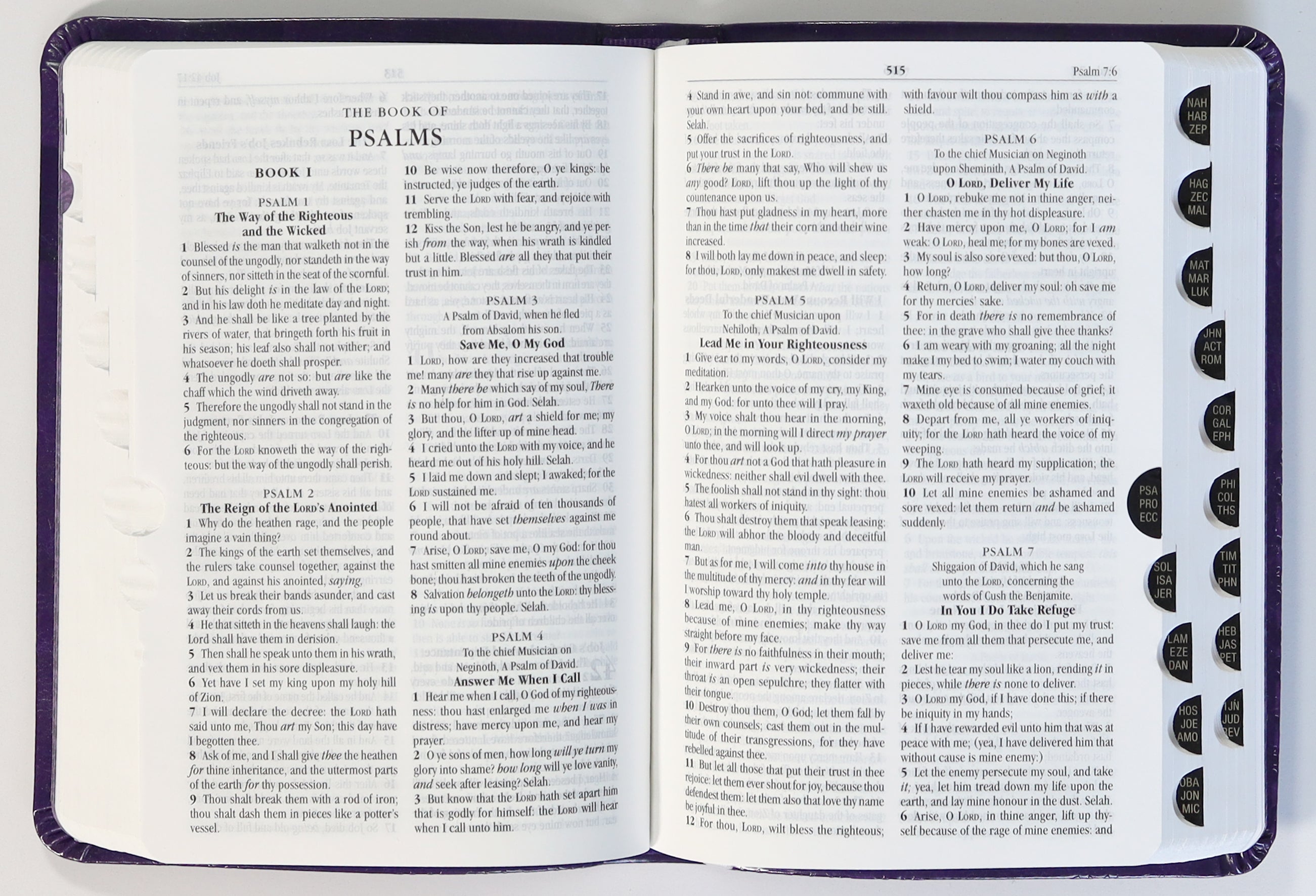 KJV Holy Bible Compact Amethyst (Red Letter Edition)