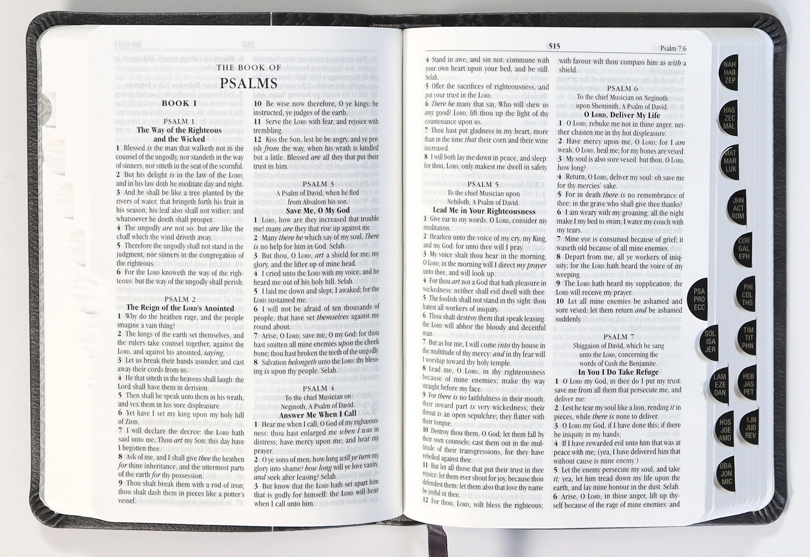 KJV Holy Bible Compact Granite (Red Letter Edition)