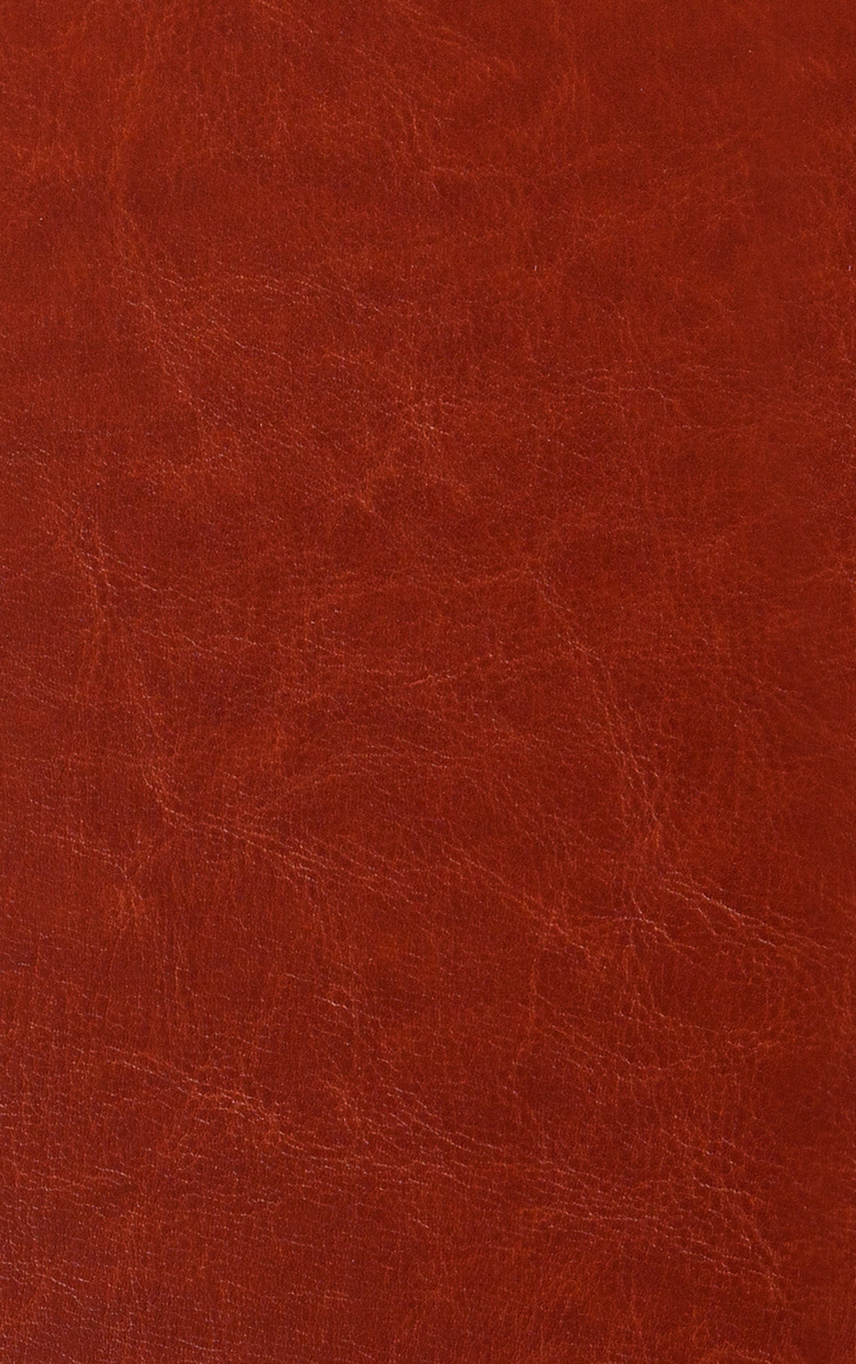 KJV Holy Bible Personal Caramel (Red Letter Edition)