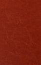 KJV Holy Bible Personal Caramel (Red Letter Edition)