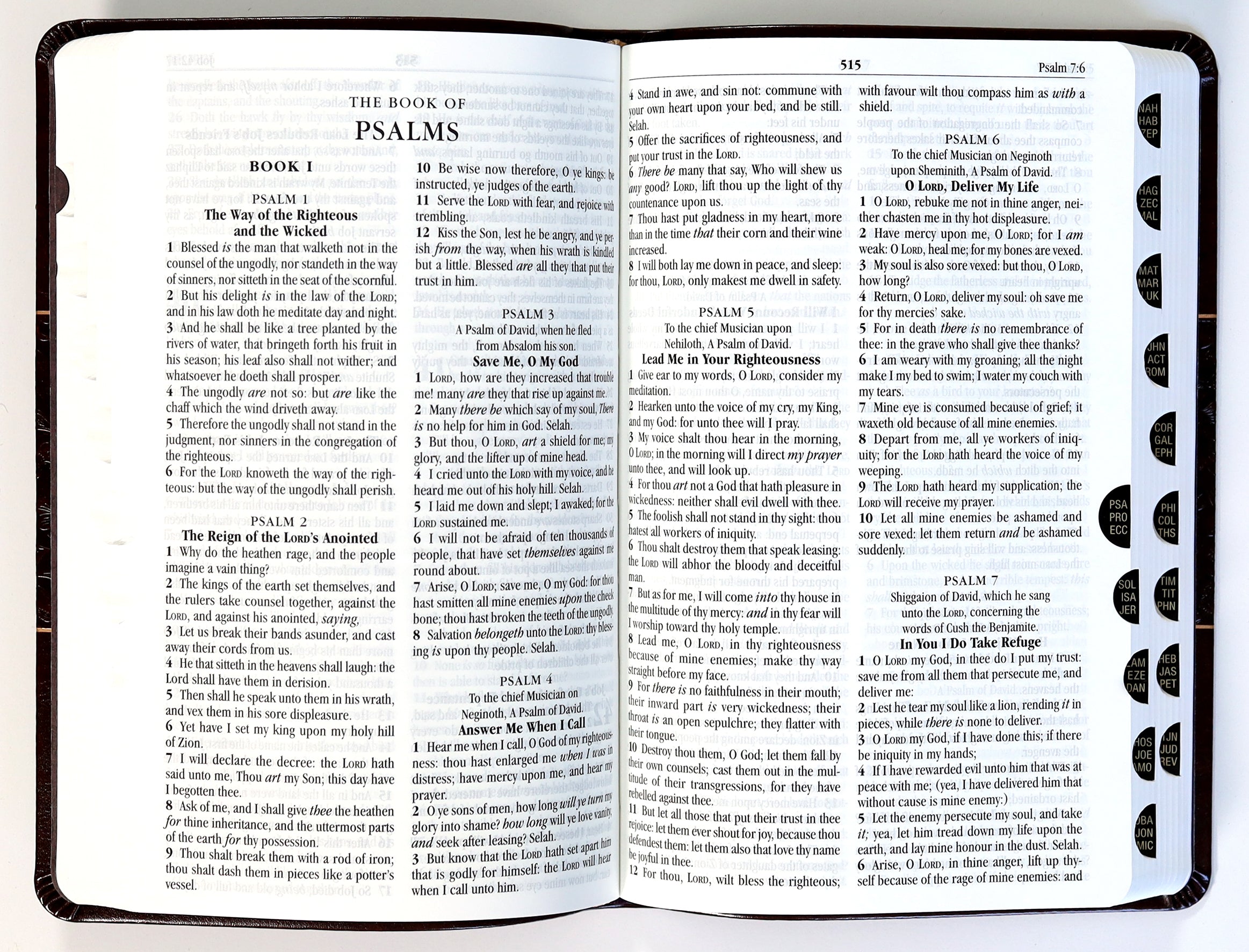 KJV Holy Bible Personal Mulberry (Red Letter Edition)