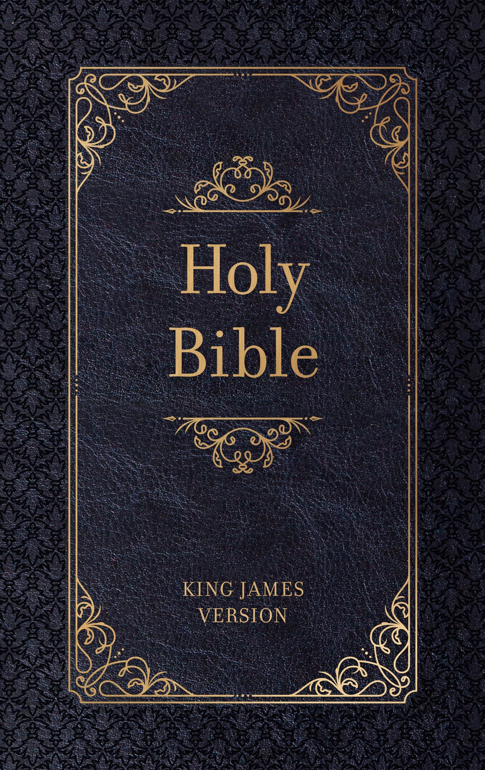 KJV Holy Bible Zip Midnight (Red Letter Edition)
