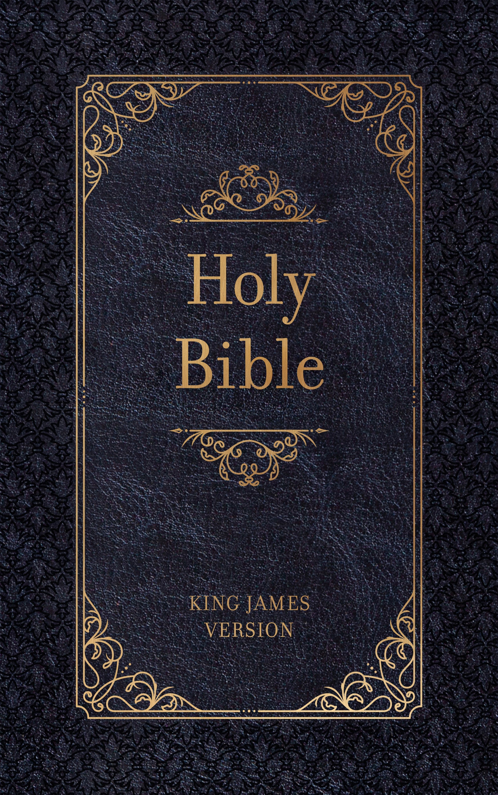 KJV Holy Bible Zip Midnight (Red Letter Edition)