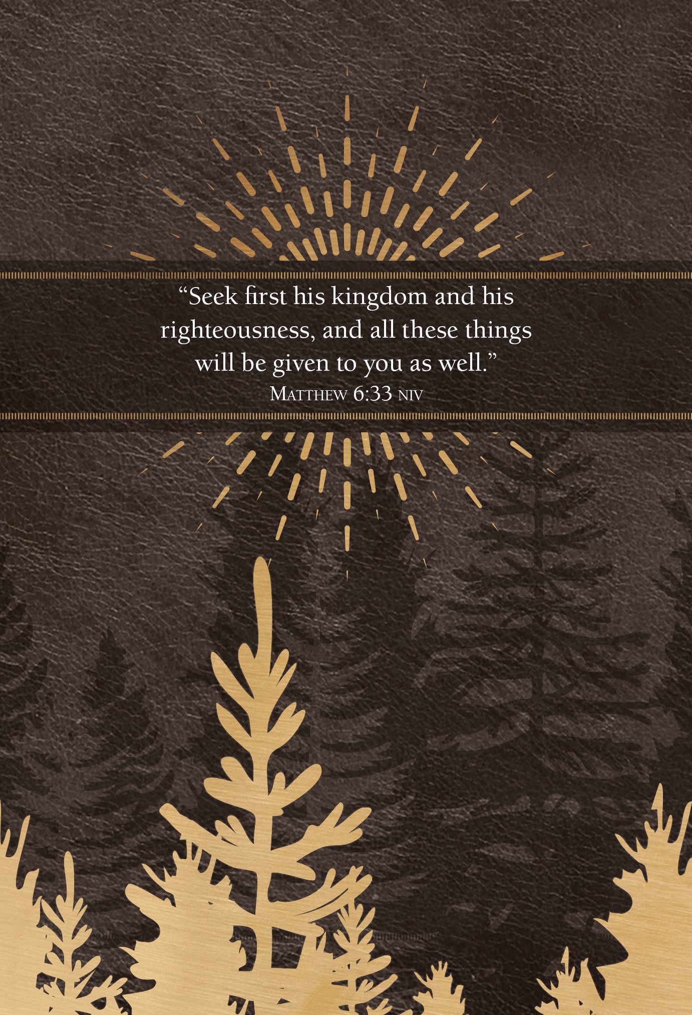 Jesus First For Men: 365 Devotions to Start Your Day