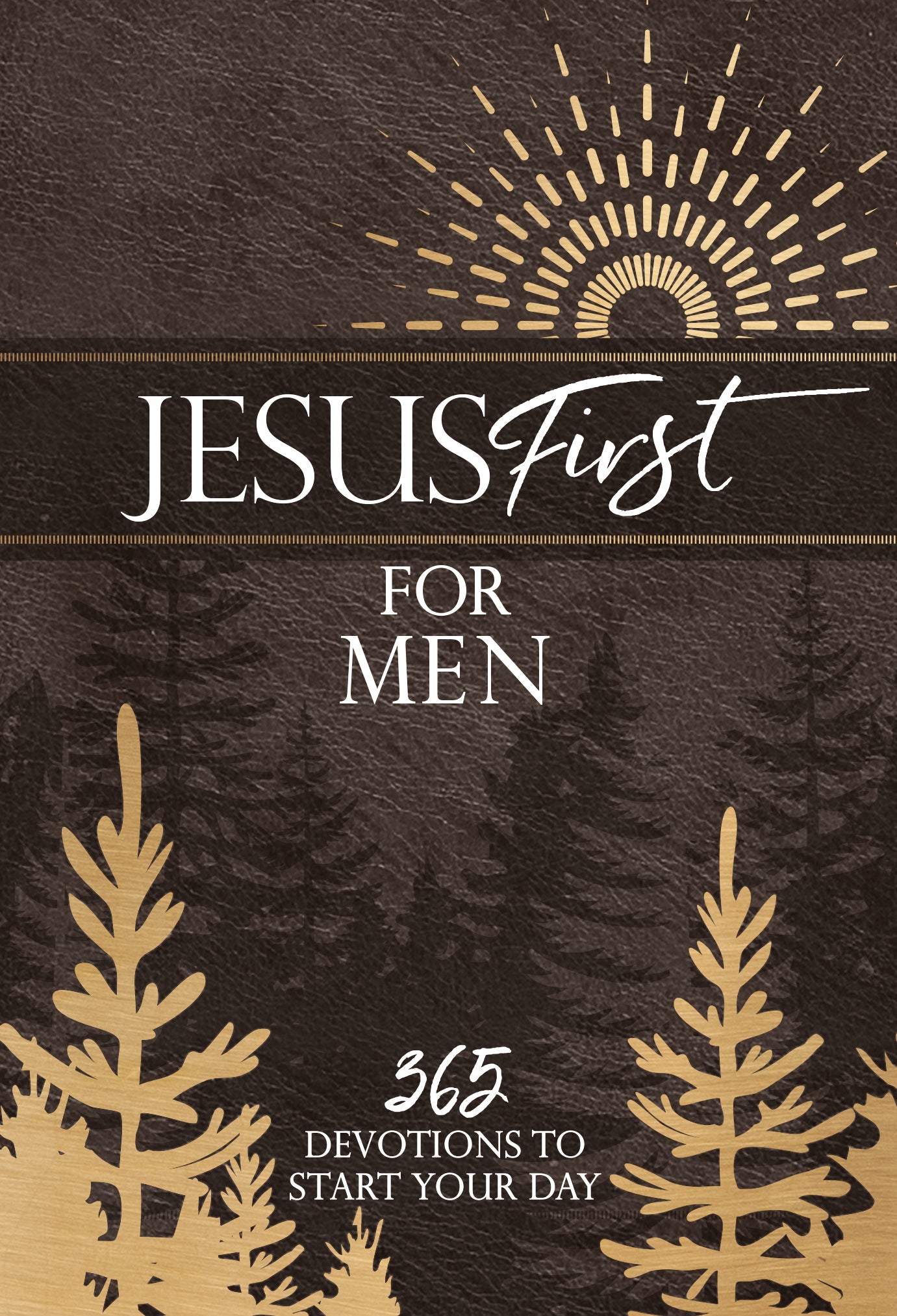 Jesus First For Men: 365 Devotions to Start Your Day
