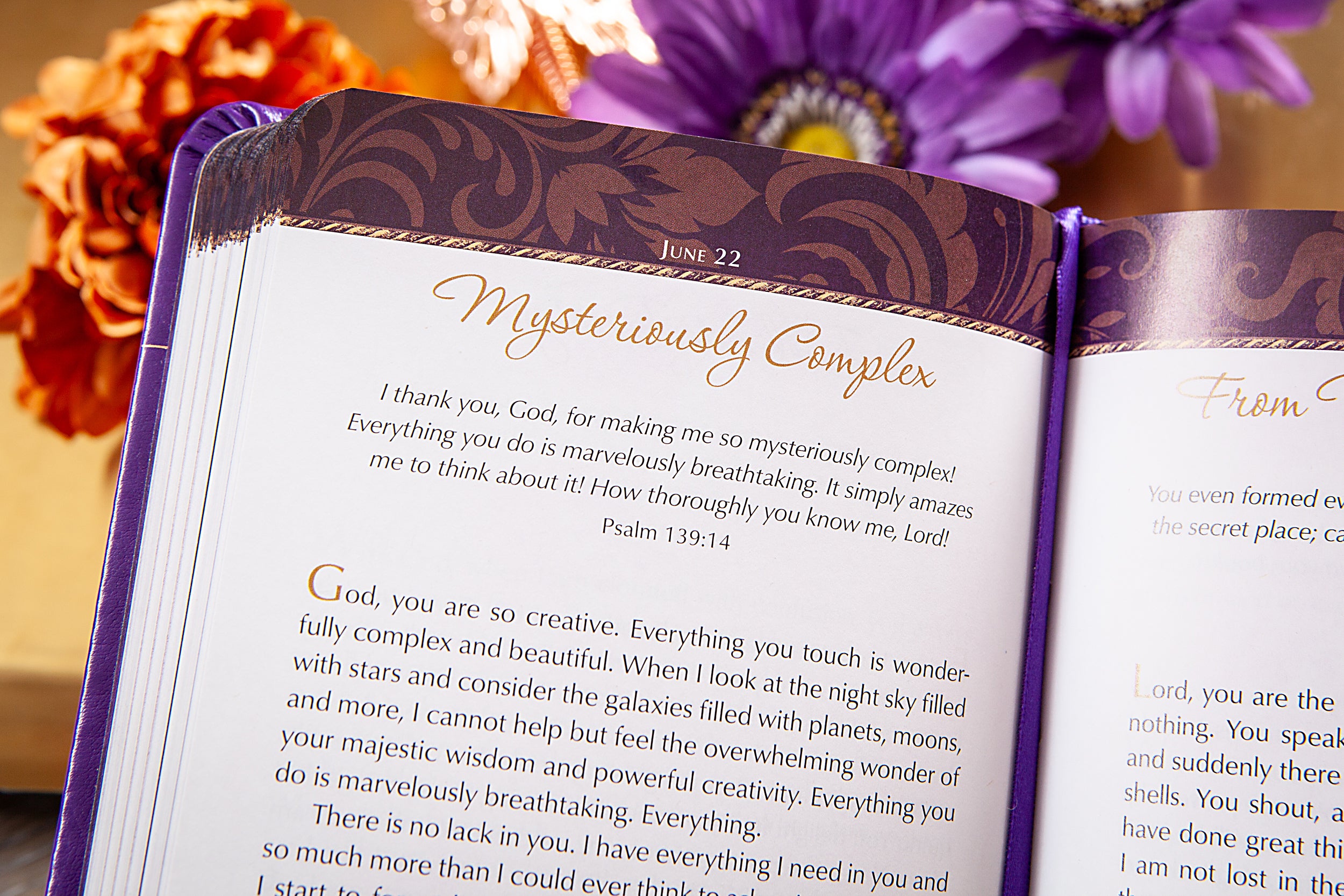 Prayers on Fire for Women: 365 Days of Praying the Psalms