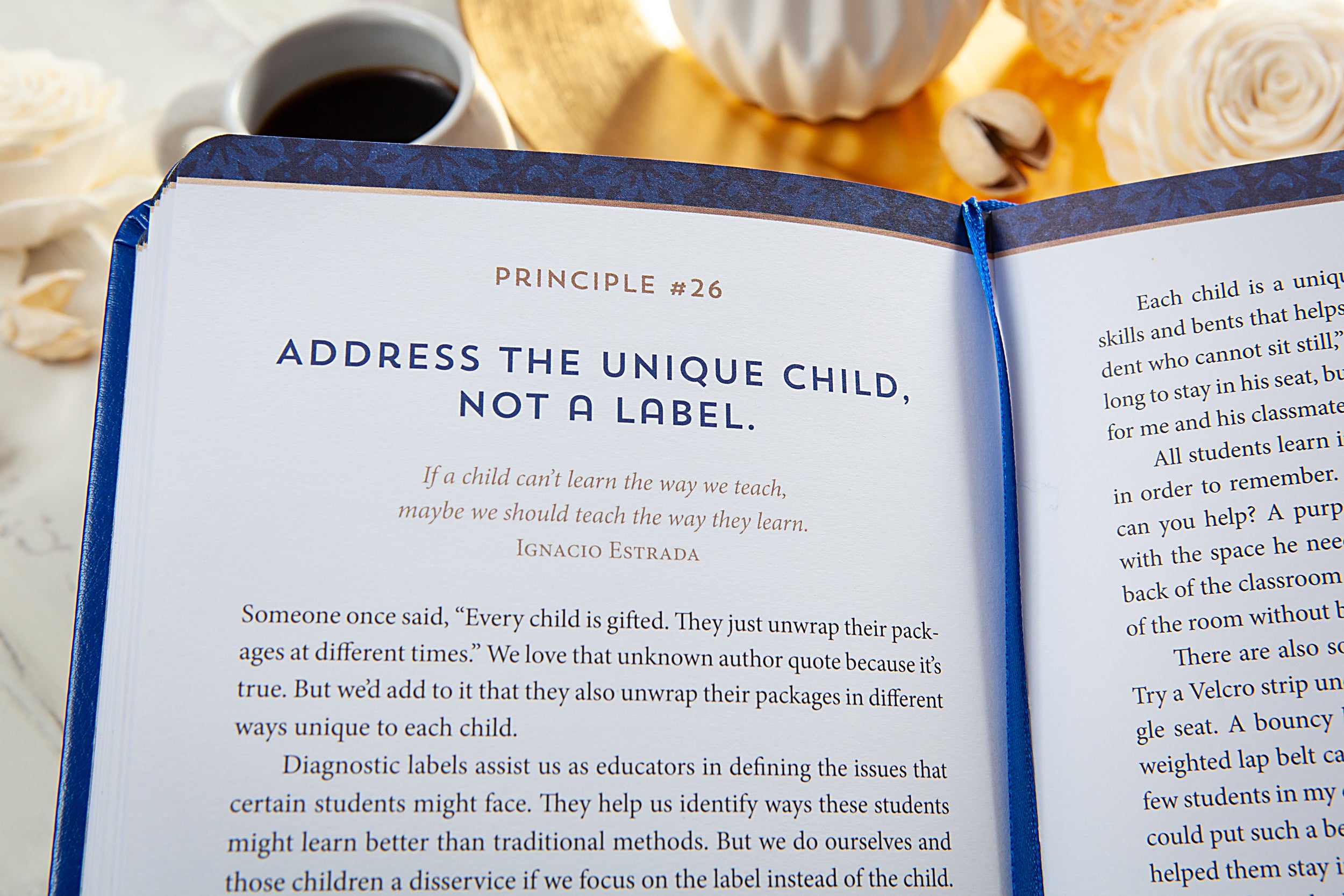 The Way of the Teacher: 40 Principles for Success in the Classroom and Life