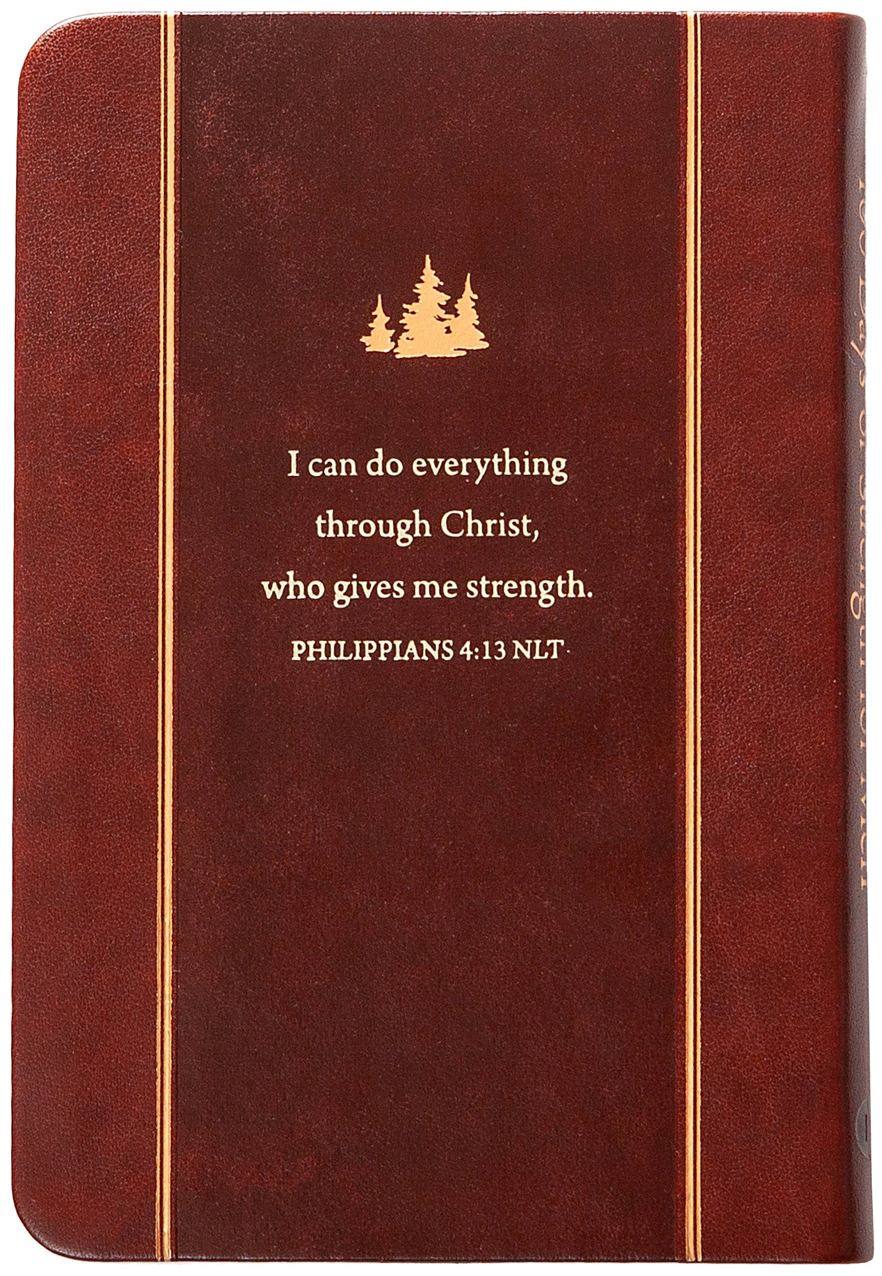 100 Days of Strength for Men: Pocketbooks by BroadStreet