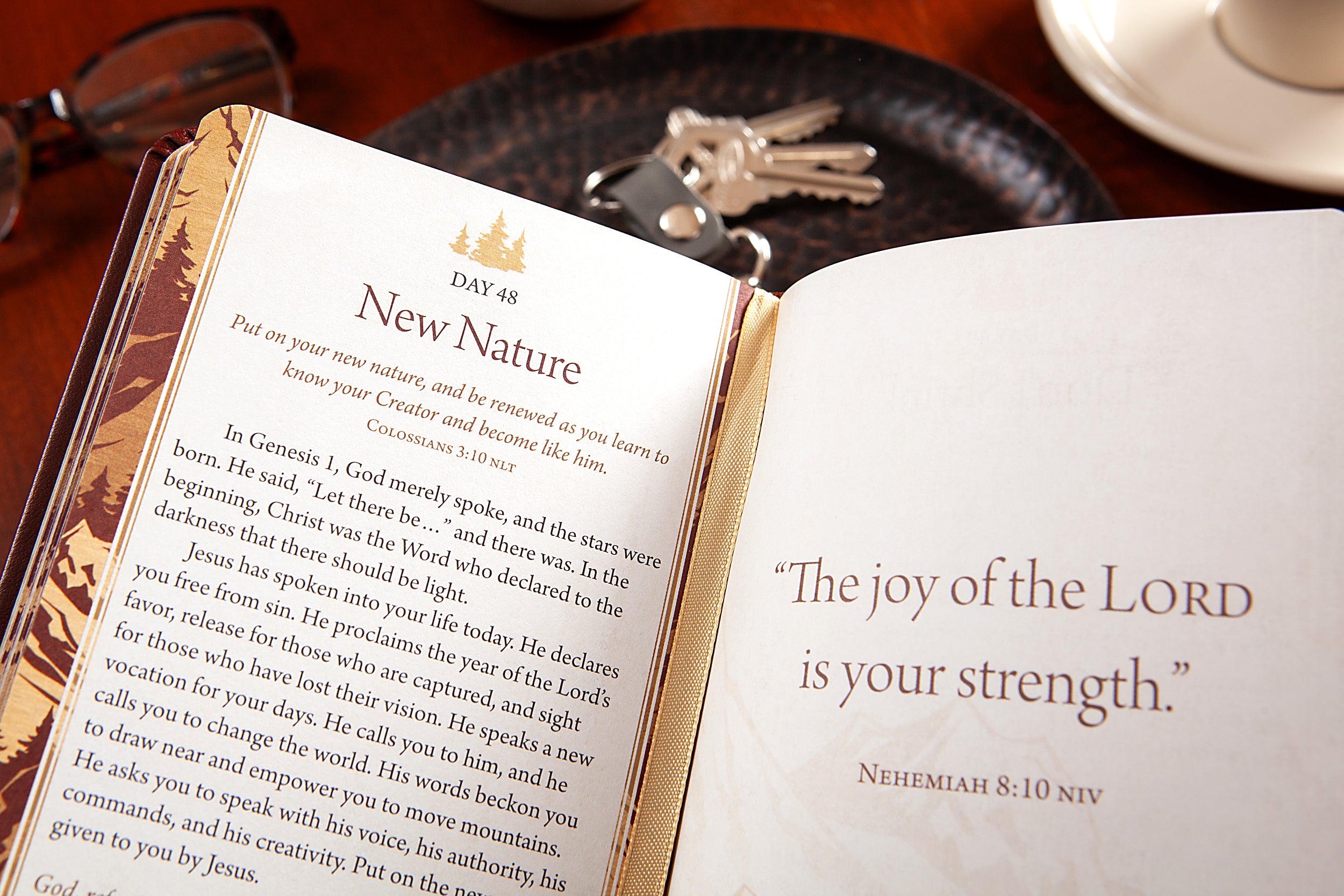 100 Days of Strength for Men: Pocketbooks by BroadStreet