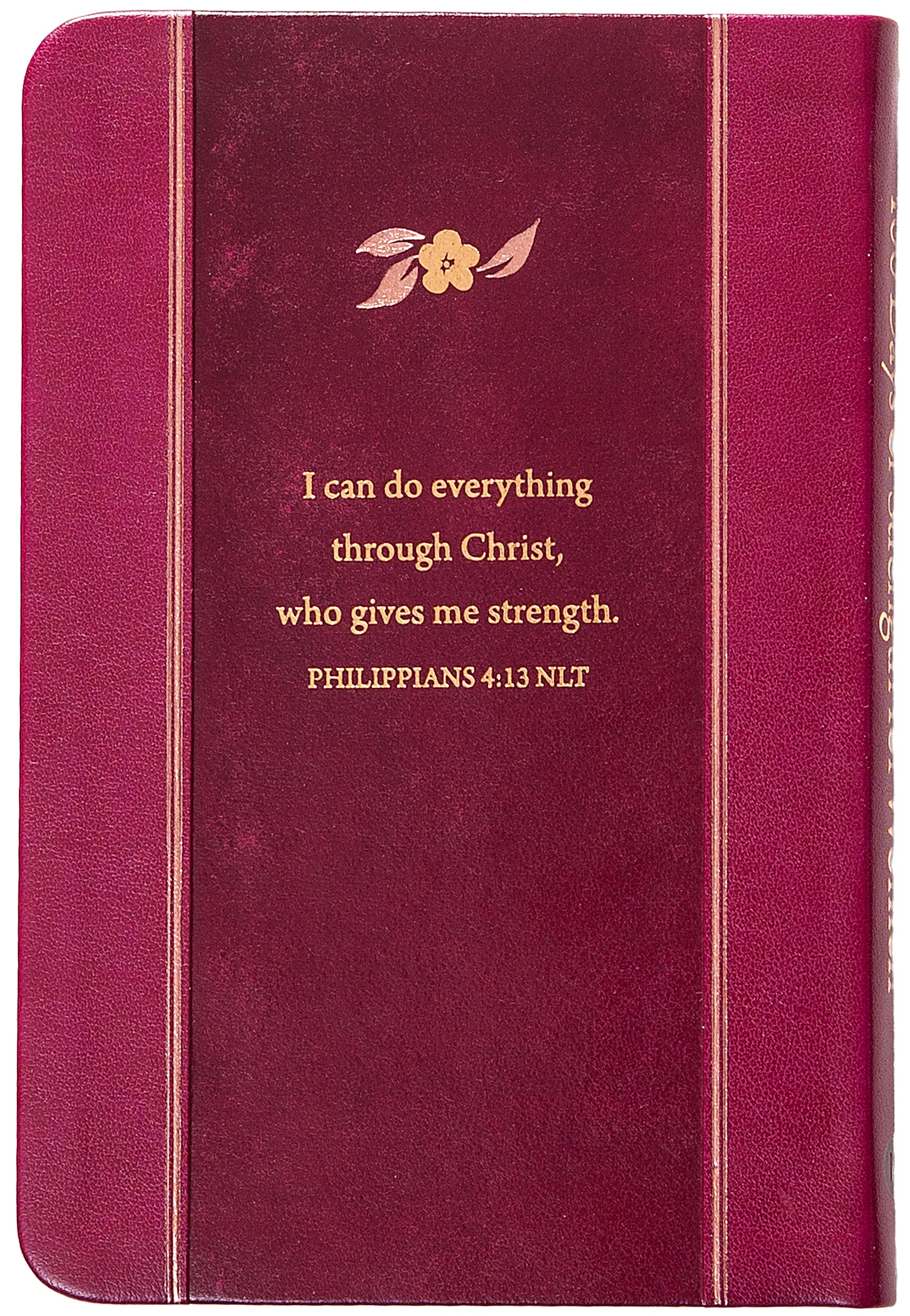 100 Days of Strength for Women: Pocketbooks by BroadStreet