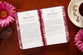 100 Days of Strength for Women: Pocketbooks by BroadStreet