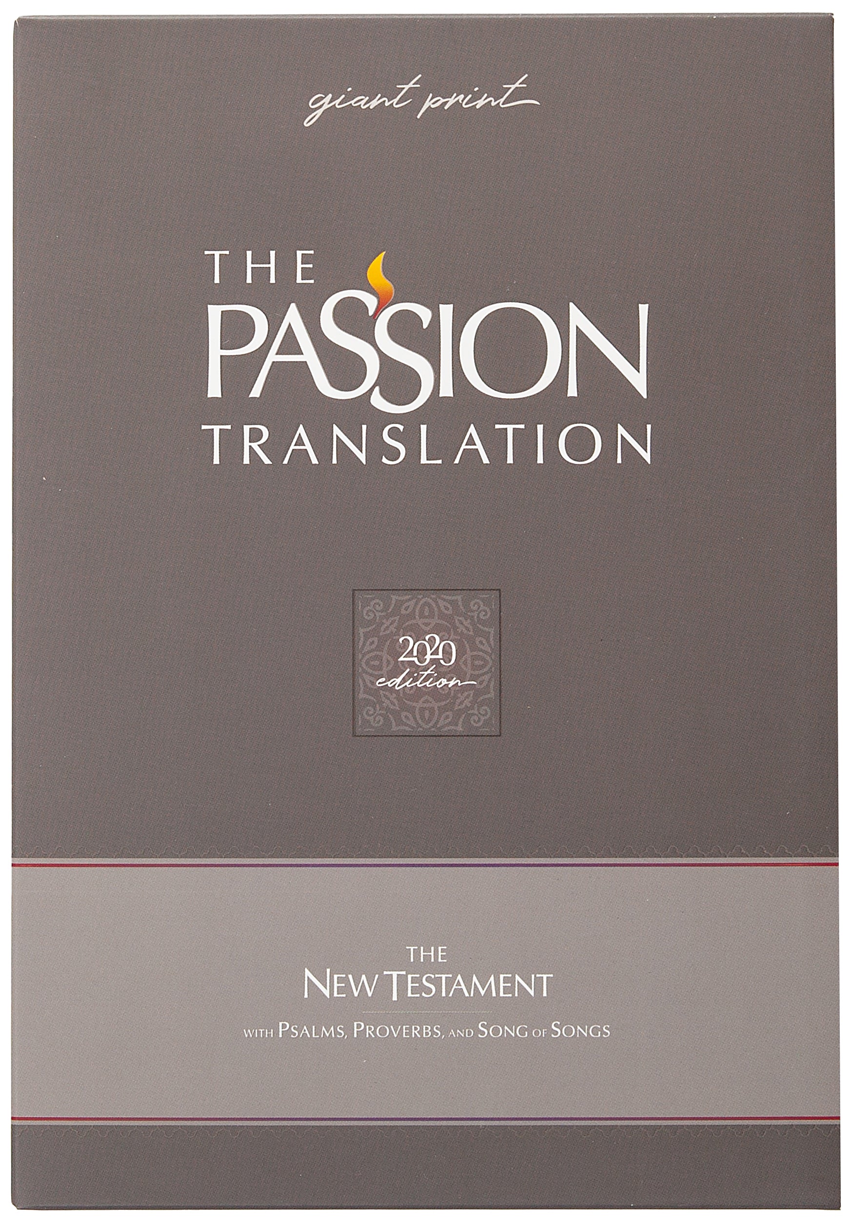 TPT New Testament Giant Print Indigo