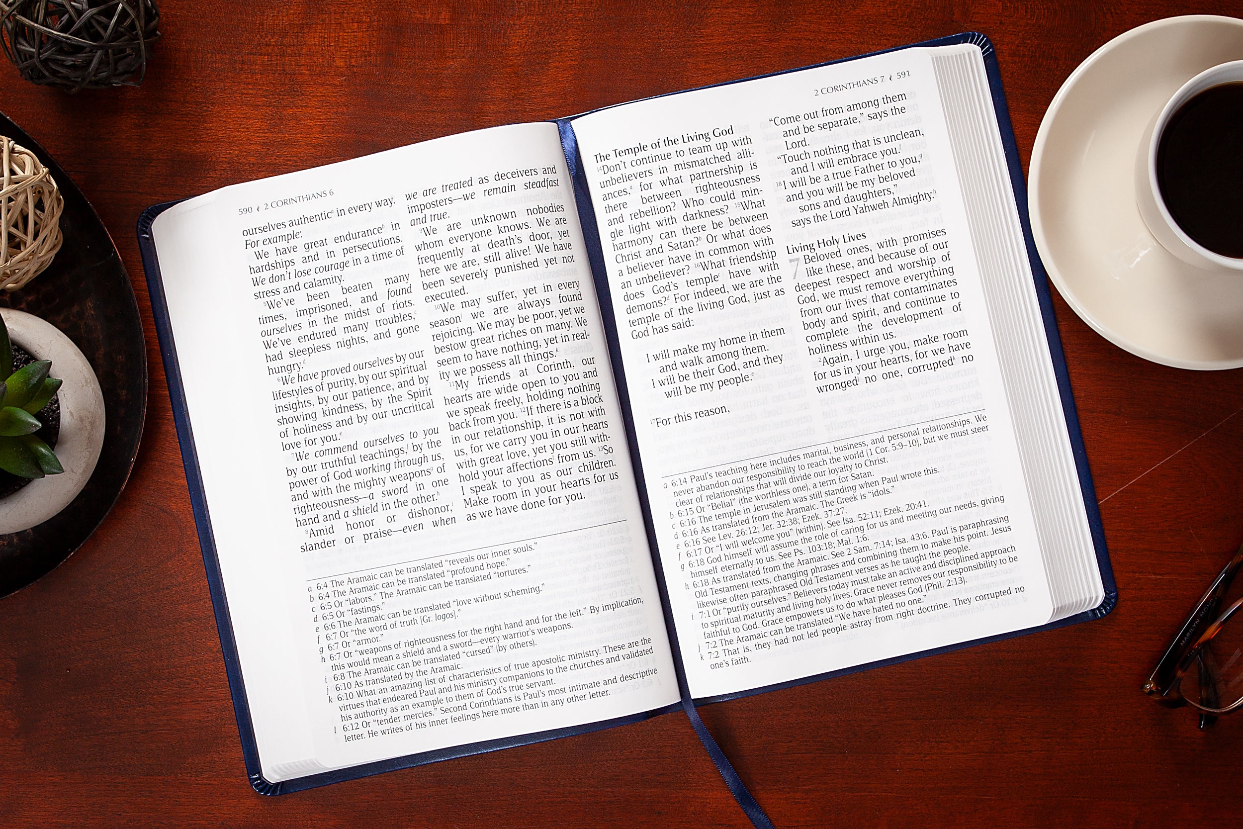 TPT New Testament Giant Print Indigo