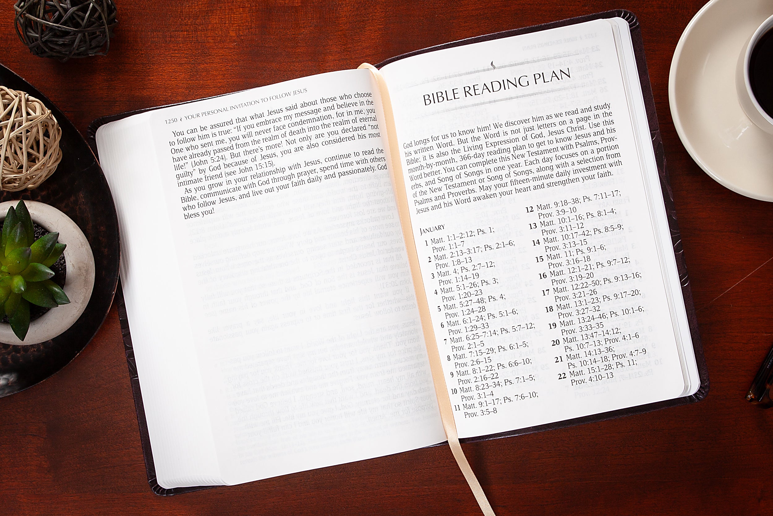 TPT New Testament Giant Print Indigo