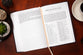TPT New Testament Giant Print Indigo