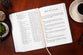 TPT New Testament Giant Print Indigo