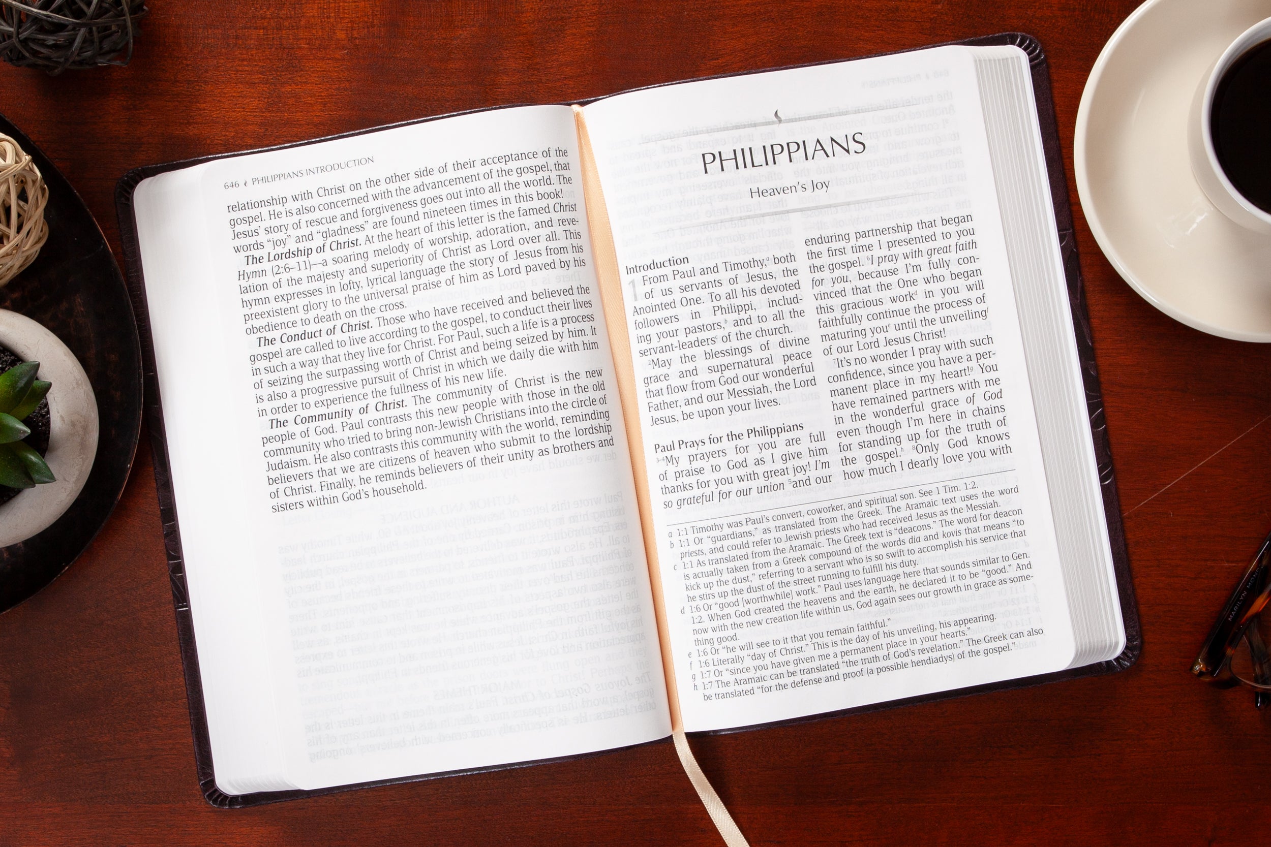 TPT New Testament Giant Print Plum