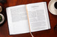 TPT New Testament Giant Print Plum