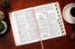 KJV Holy Bible Giant Print Blush Indexed (Red Letter Edition)