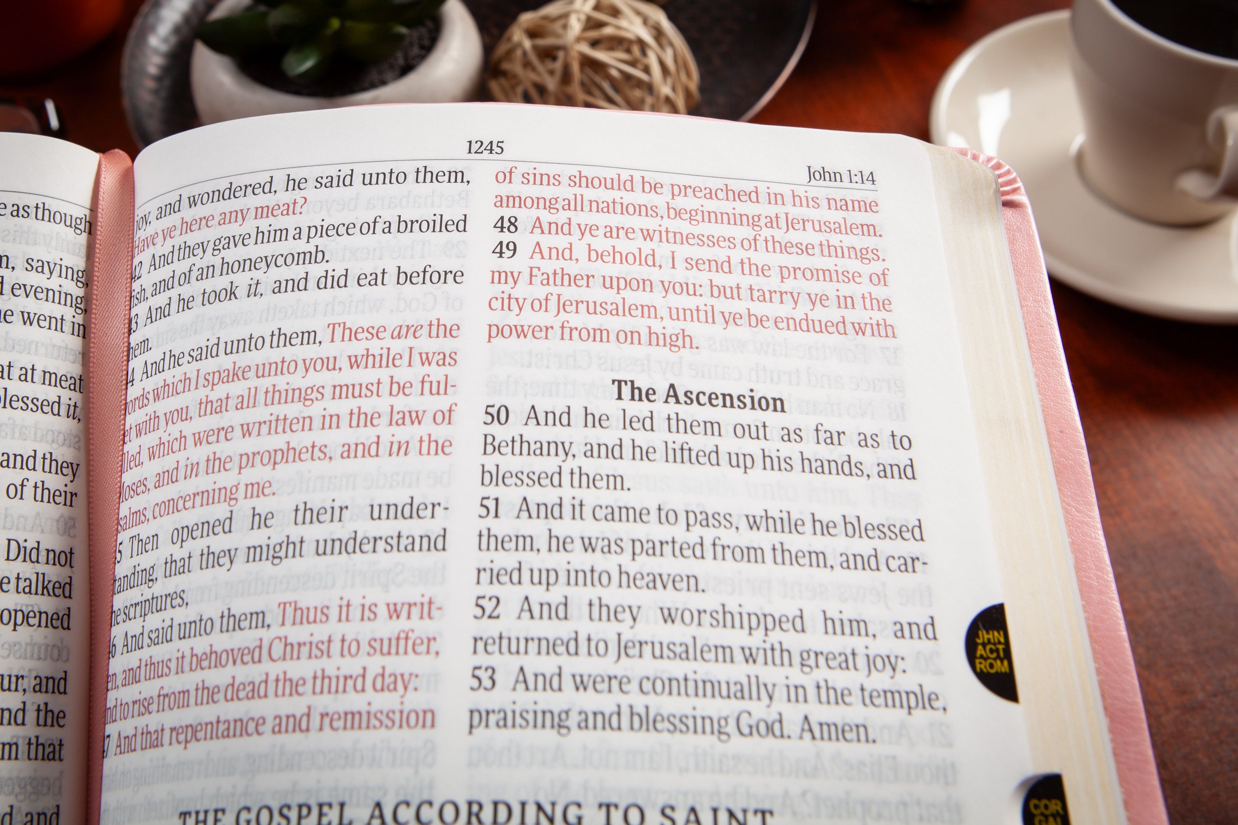 KJV Holy Bible Giant Print Blush Indexed (Red Letter Edition)