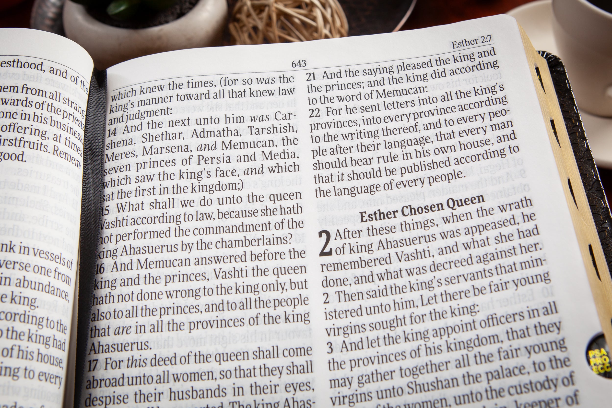 KJV Holy Bible Giant Print Obsidian Indexed (Red Letter Edition)
