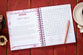 Bible Word Search Devotional (Large Print): 100 Days of Hope for Your Soul