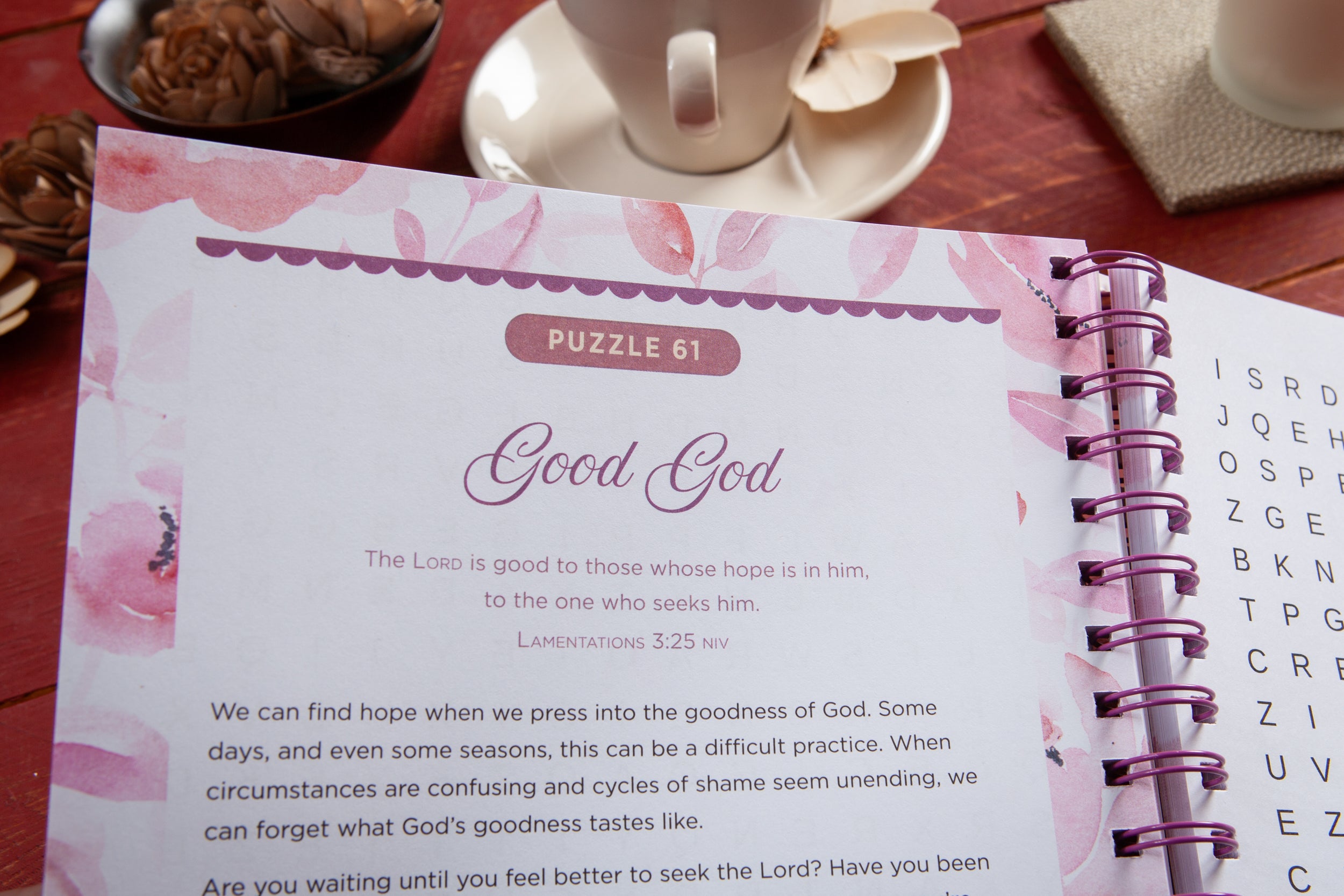 Bible Word Search Devotional (Large Print): 100 Days of Hope for Your Soul