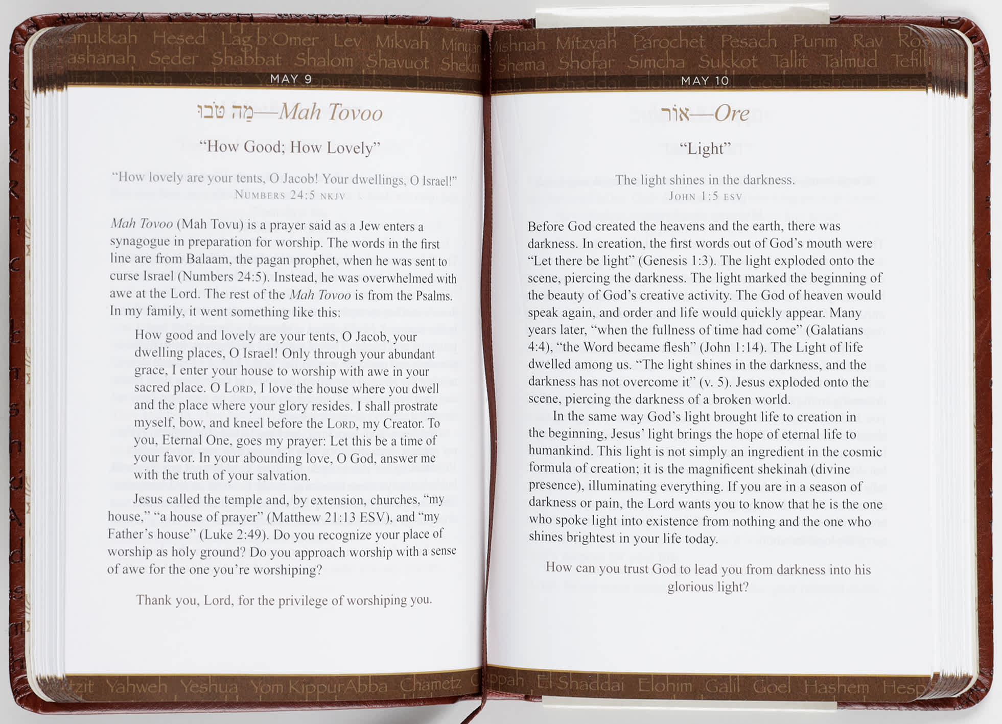 365 Hebrew Words Every Christian Should Know: A Daily Devotional