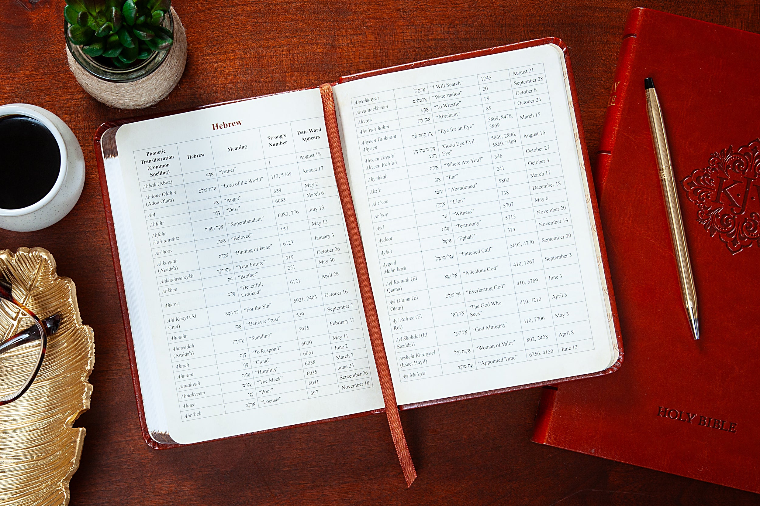 365 Hebrew Words Every Christian Should Know: A Daily Devotional