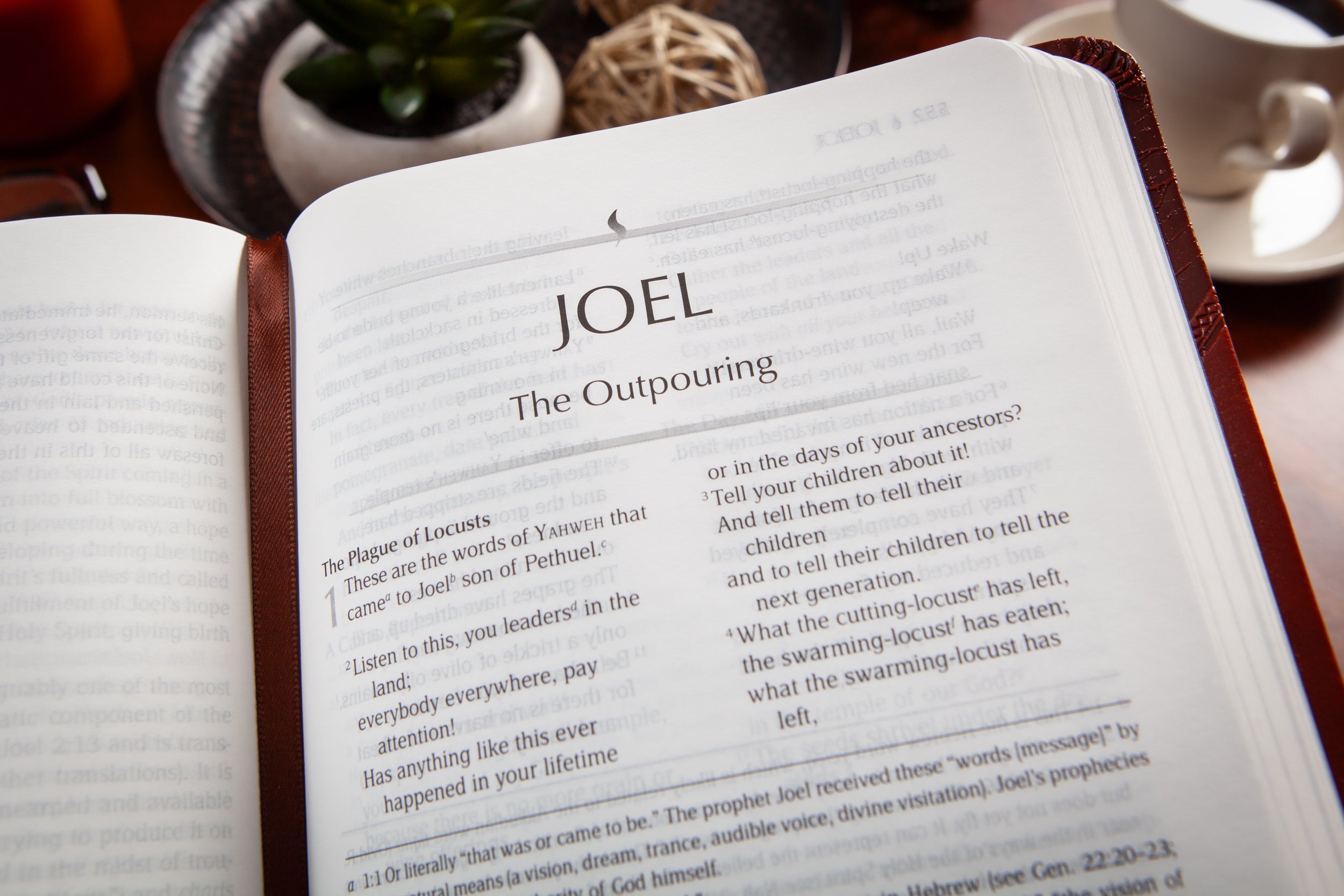 TPT The Prophets: God’s Messengers (Brown)