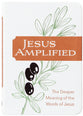 Jesus Amplified: The Deeper Meaning of the Words of Jesus