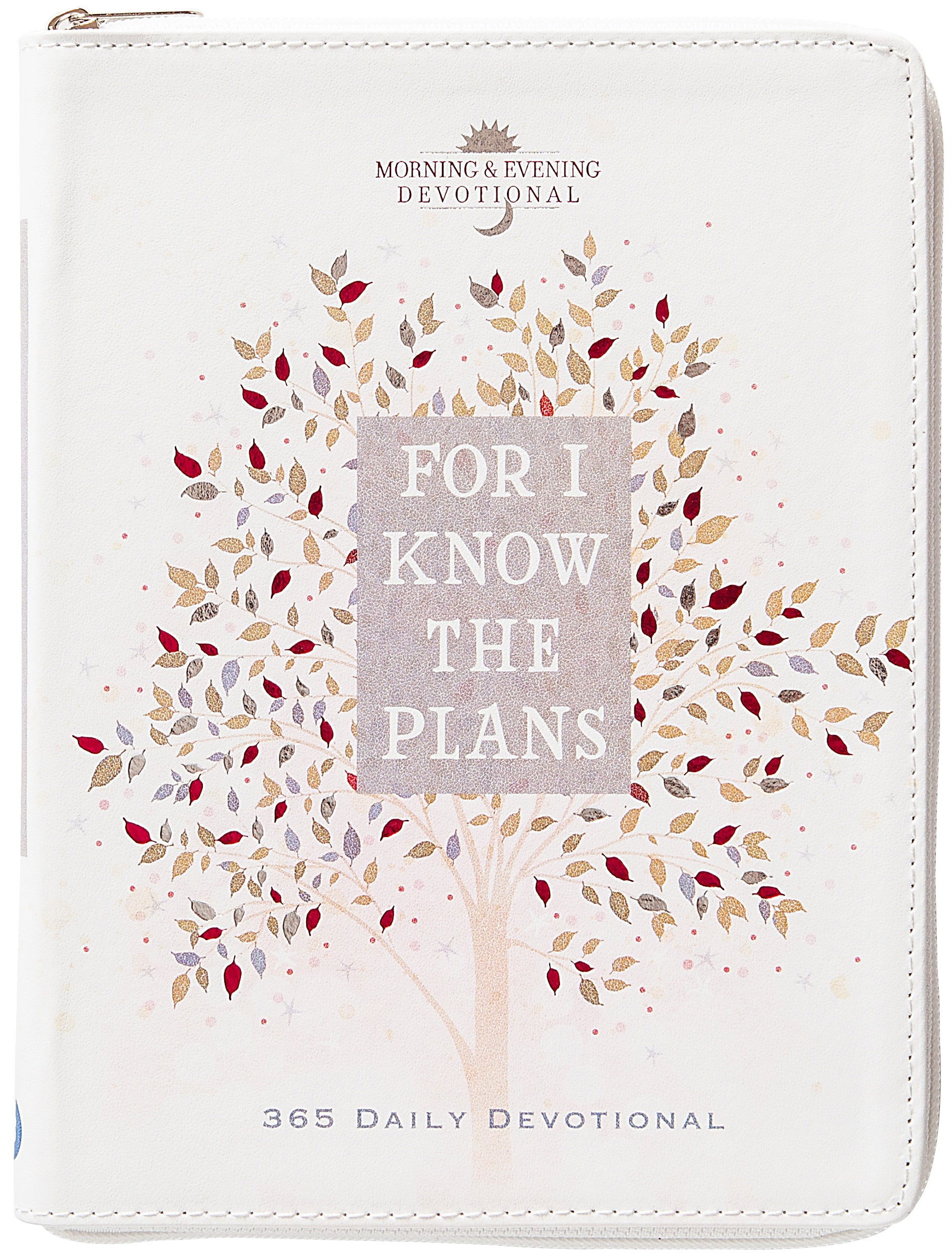 For I Know the Plans: 365 Daily Devotional