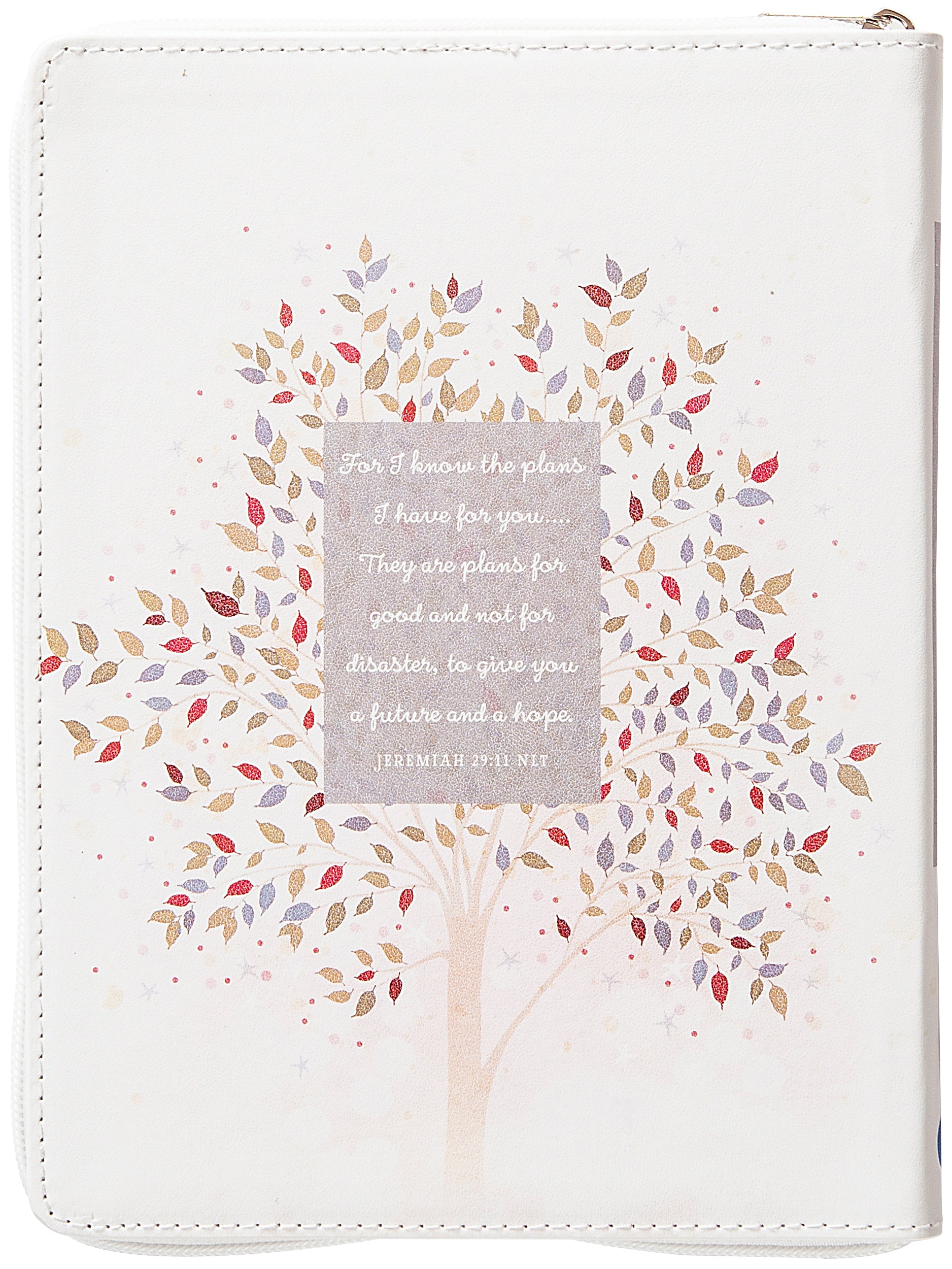 For I Know the Plans: 365 Daily Devotional