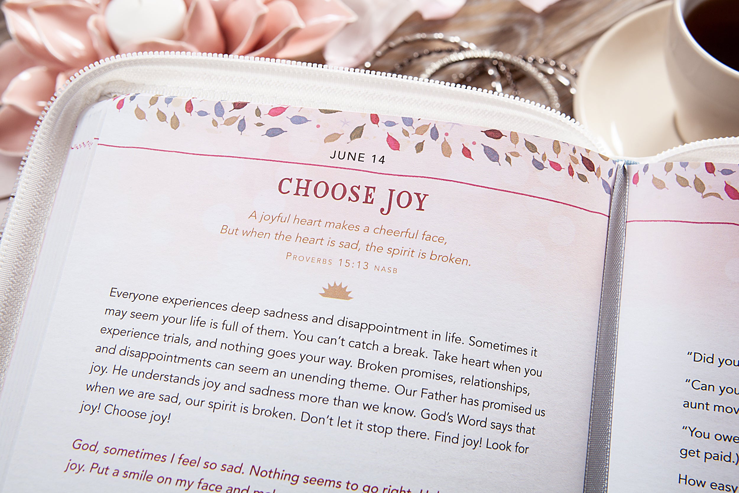 For I Know the Plans: 365 Daily Devotional