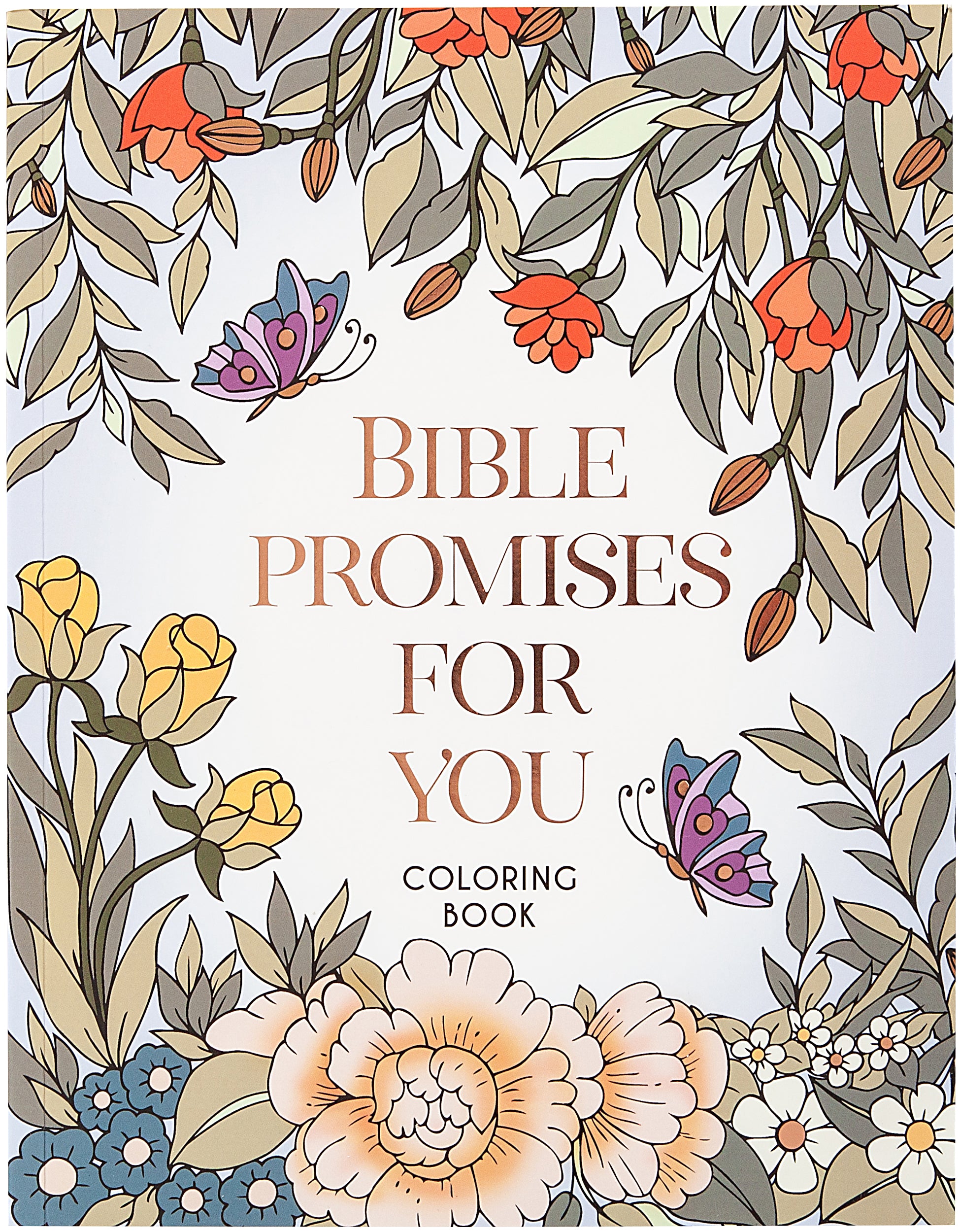 Bible Promises for You: Colouring Book