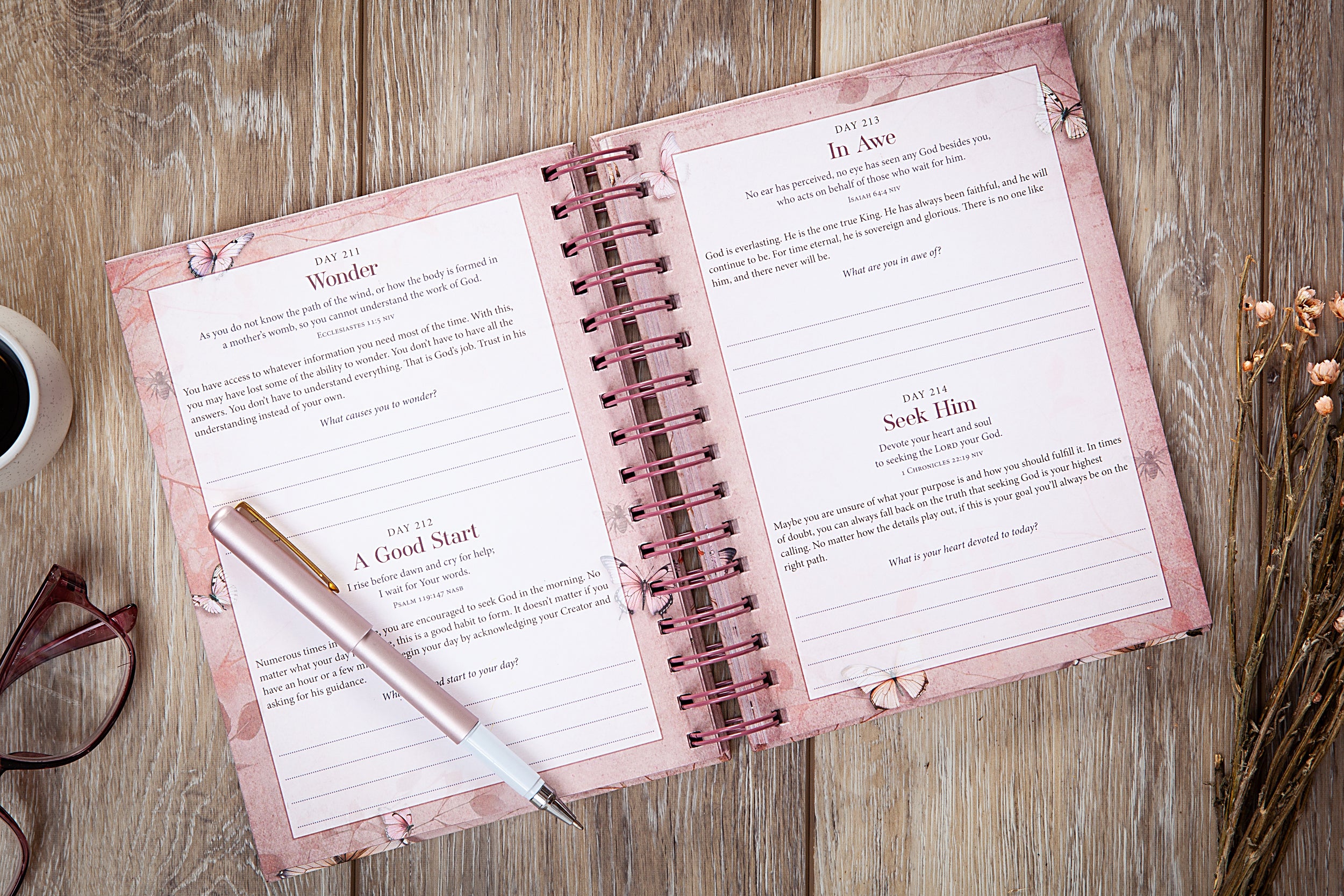 My Light and My Salvation: 365 Daily Devotional Journal