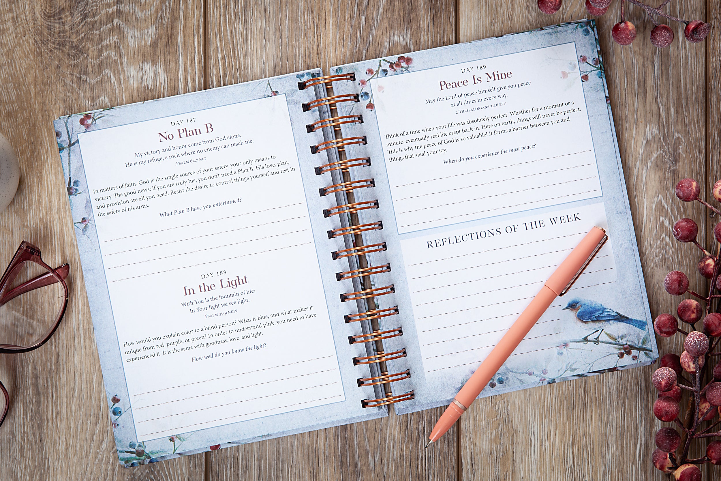 My Strength and My Song: 365 Daily Devotional Journal