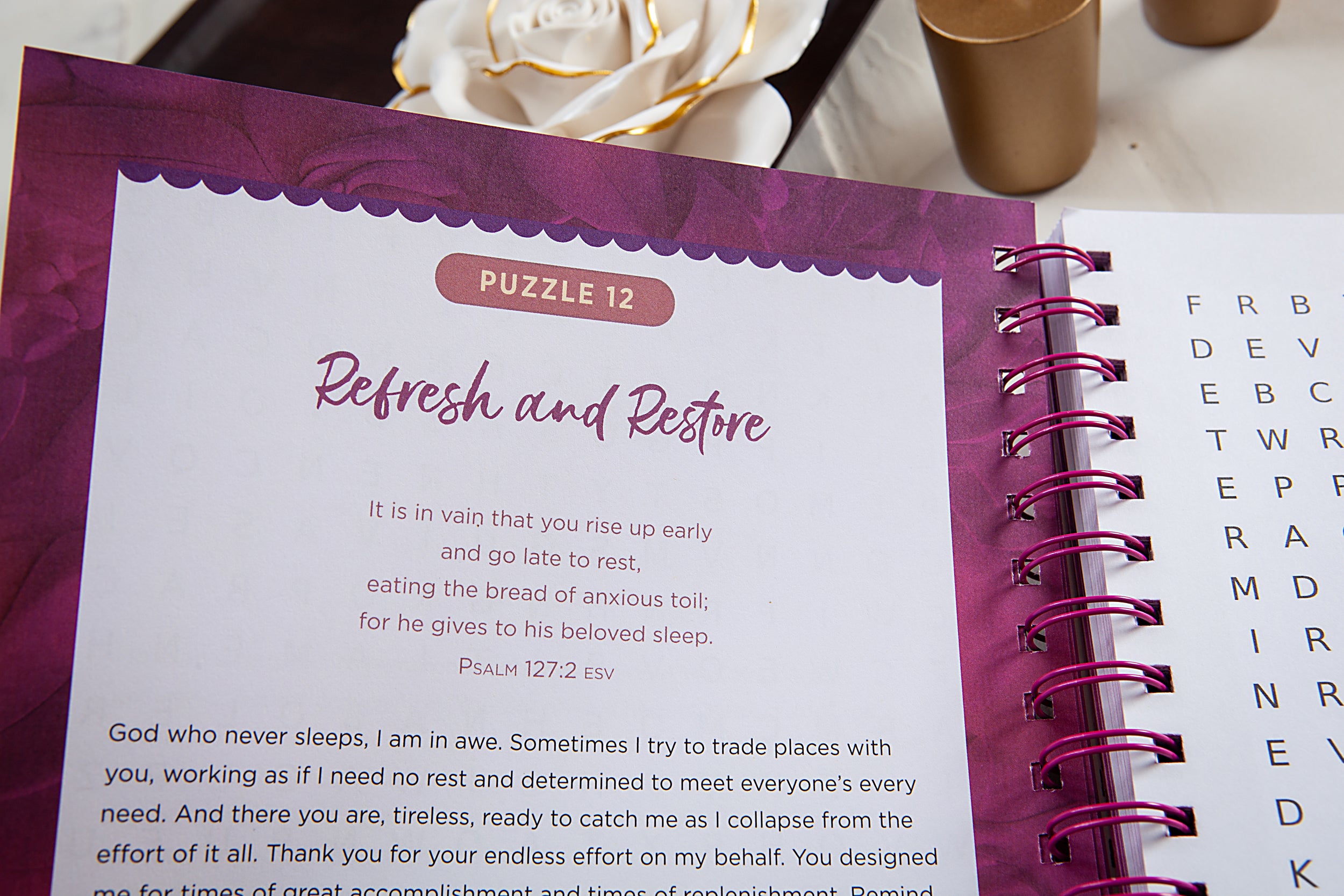 100 Days of Prayer for Women: Bible Word Search Devotional
