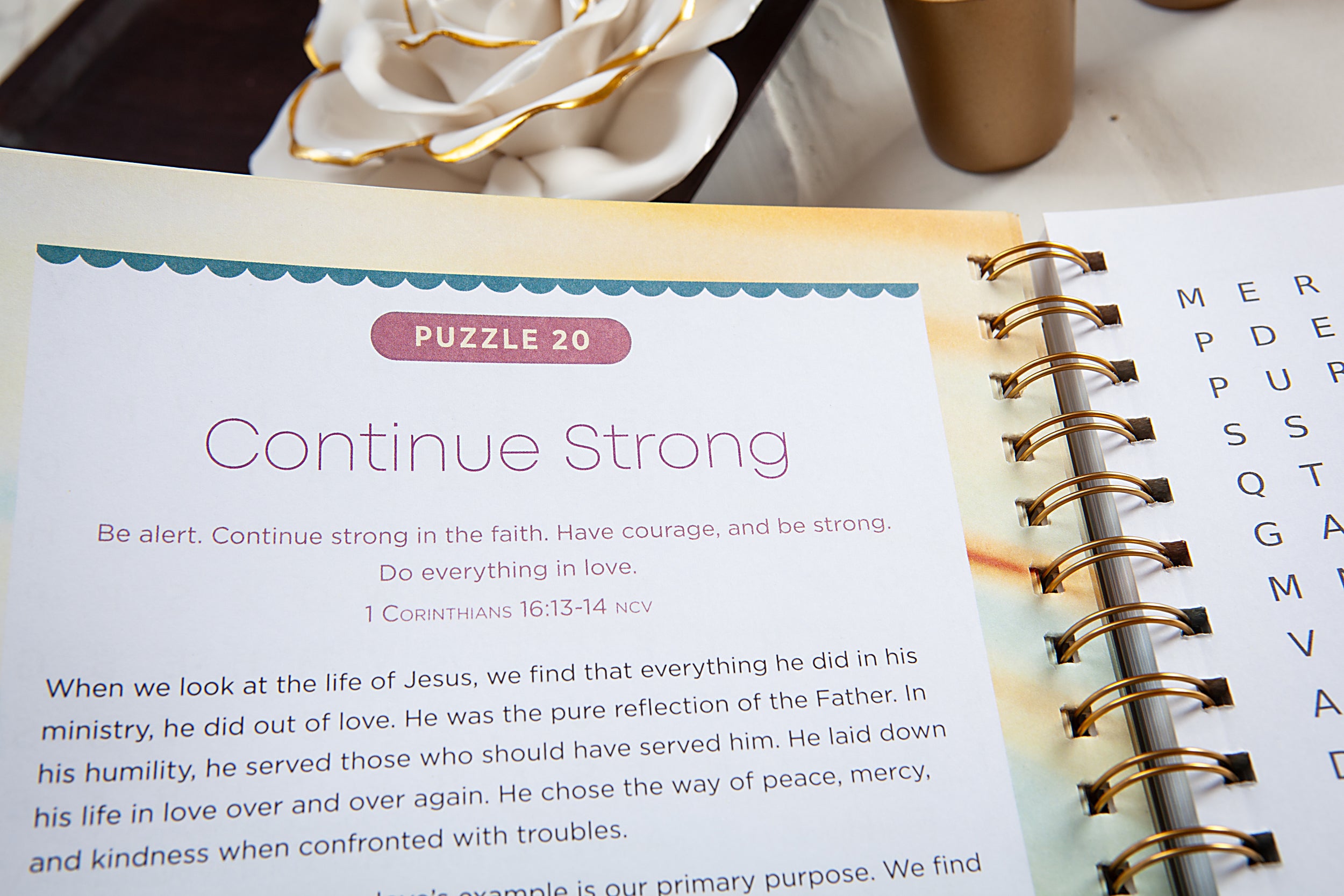100 Days of Strength for Depression & Anxiety: Bible Word Search Devotional