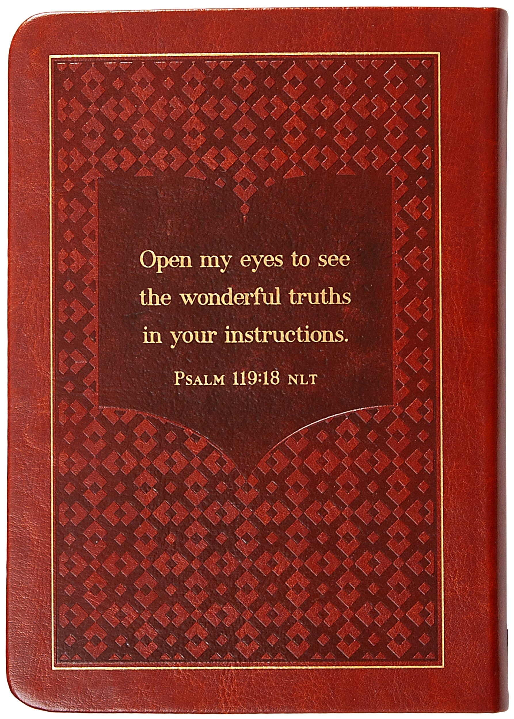 The Bible Reading Plan Devotional for Men: 365 Daily Meditations
