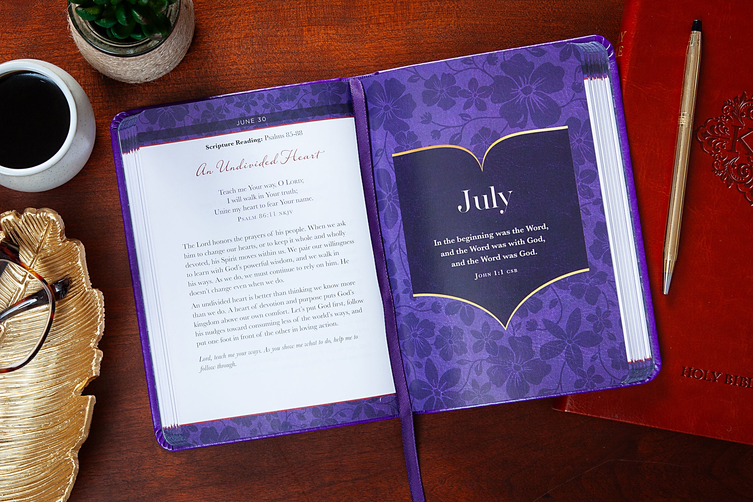 The Bible Reading Plan Devotional for Women: 365 Daily Meditations