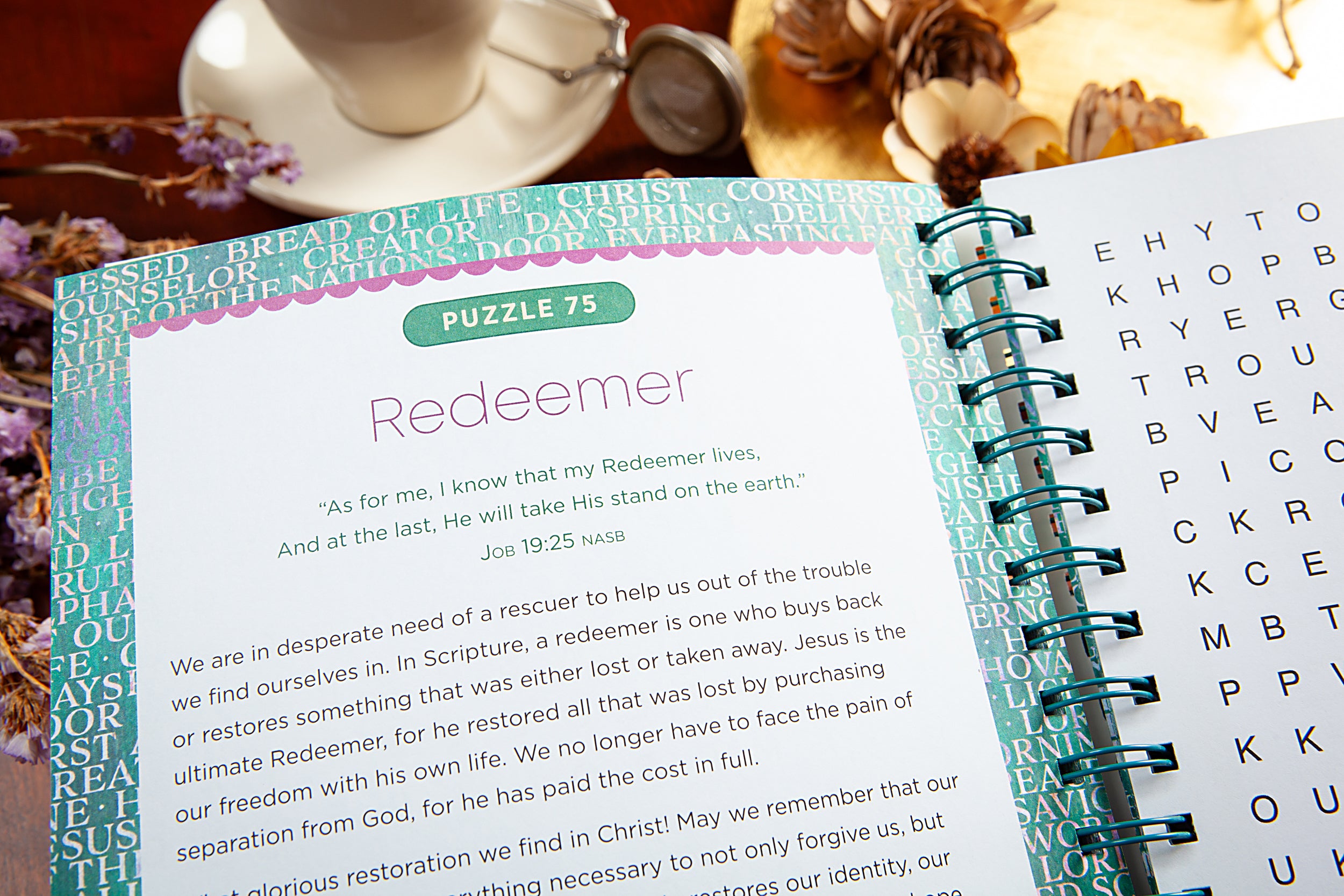 Bible Word Search Devotional: 100 Meditations on the Names of Jesus (Large Print)