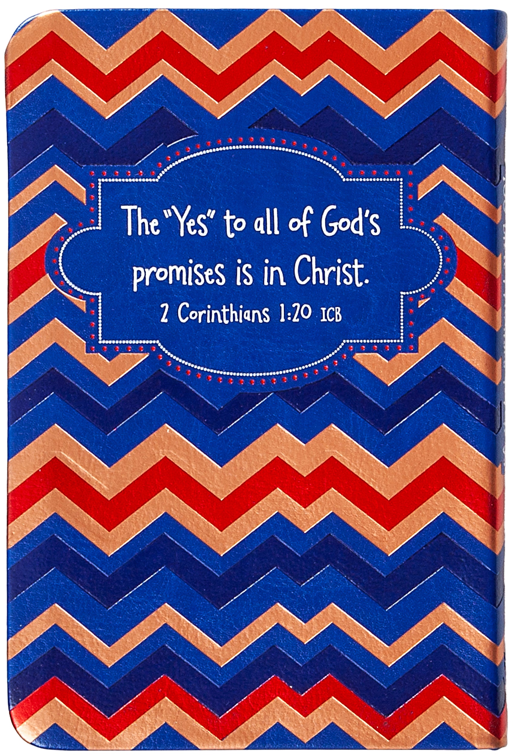 100 Bible Promises for Boys