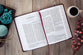 TPT New Testament 2020, Compact Giant Print, Burgundy (Black Letter Edition) (With Psalms, Proverbs and The Song Of Songs)