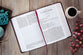 TPT New Testament 2020, Compact Giant Print, Burgundy (Black Letter Edition) (With Psalms, Proverbs and The Song Of Songs)