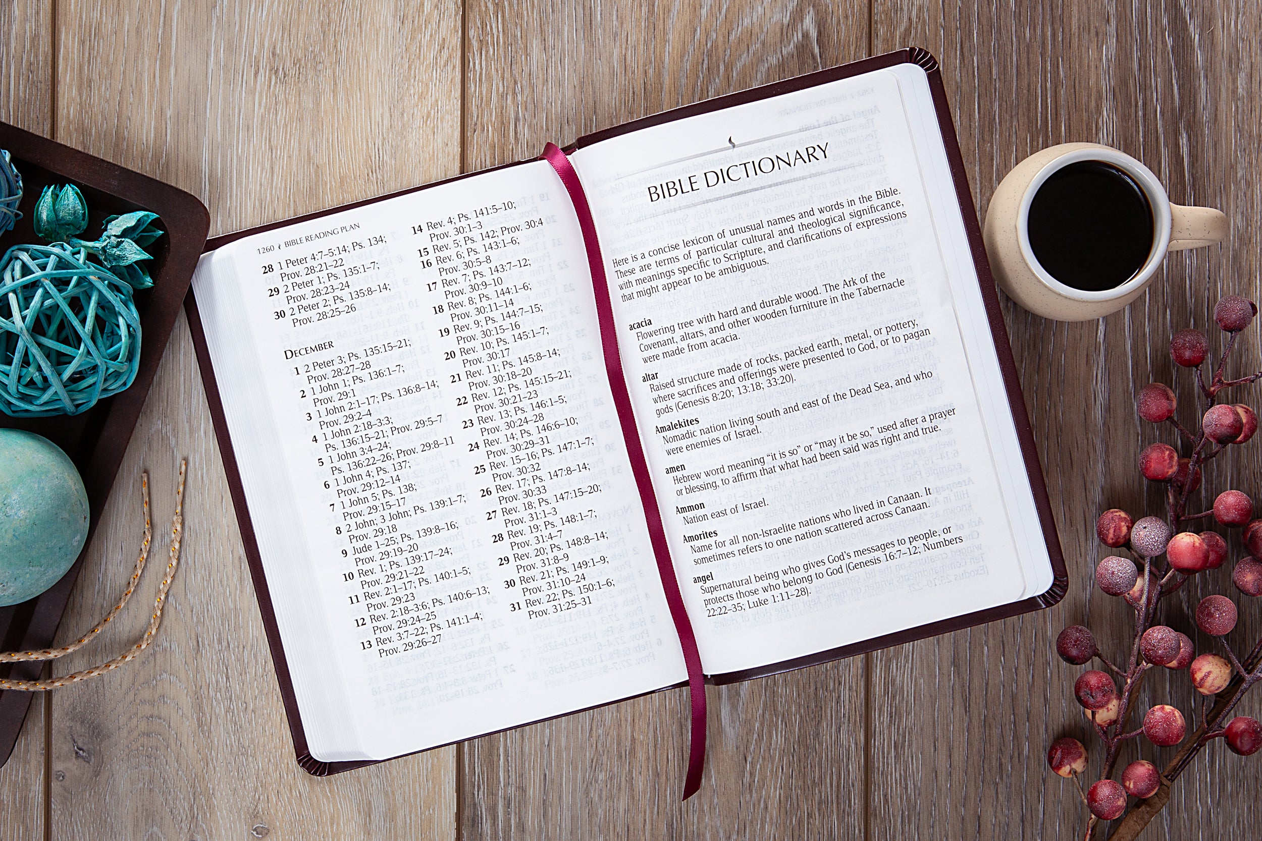 TPT New Testament 2020, Compact Giant Print, Burgundy (Black Letter Edition) (With Psalms, Proverbs and The Song Of Songs)