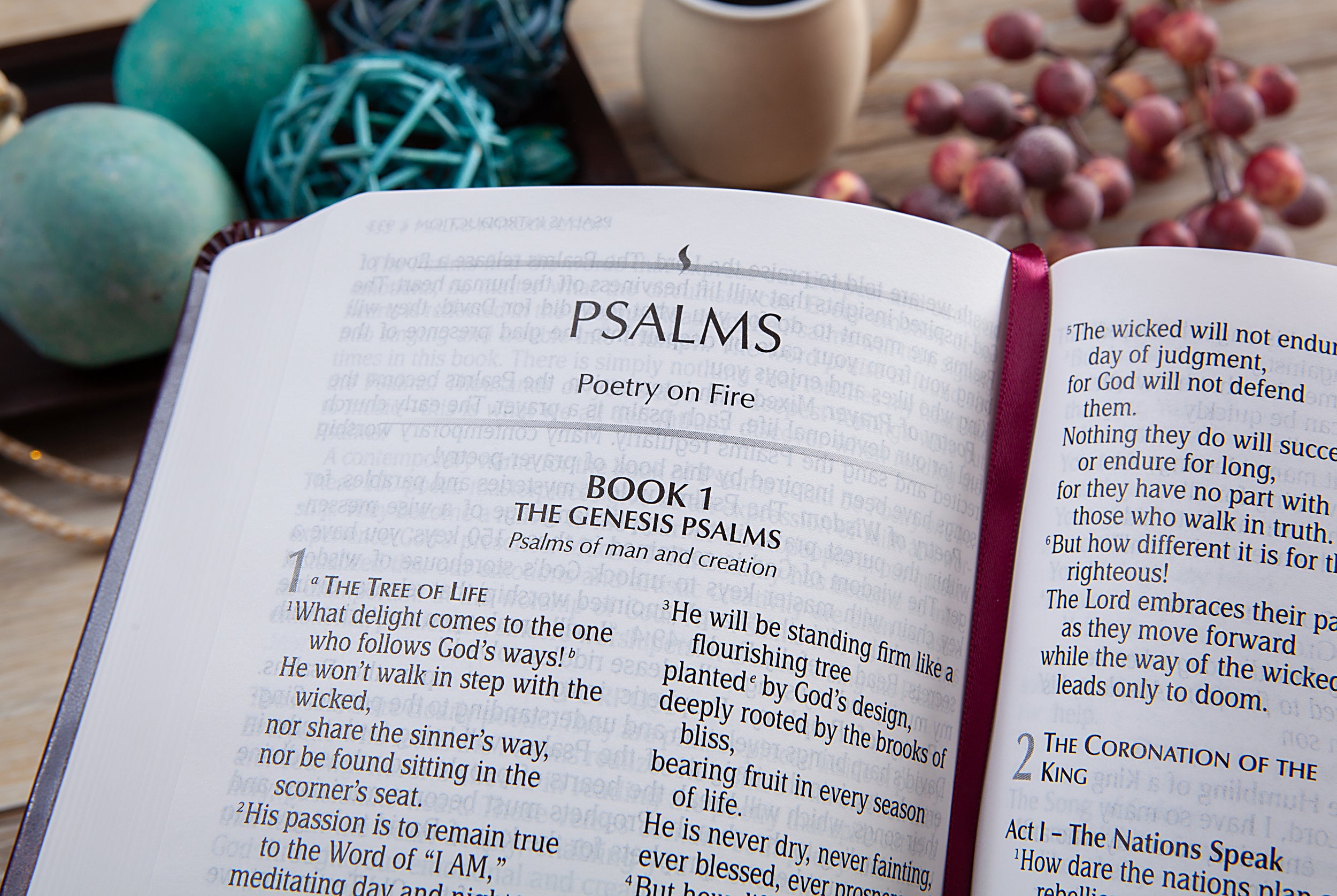 TPT New Testament 2020, Compact Giant Print, Burgundy (Black Letter Edition) (With Psalms, Proverbs and The Song Of Songs)