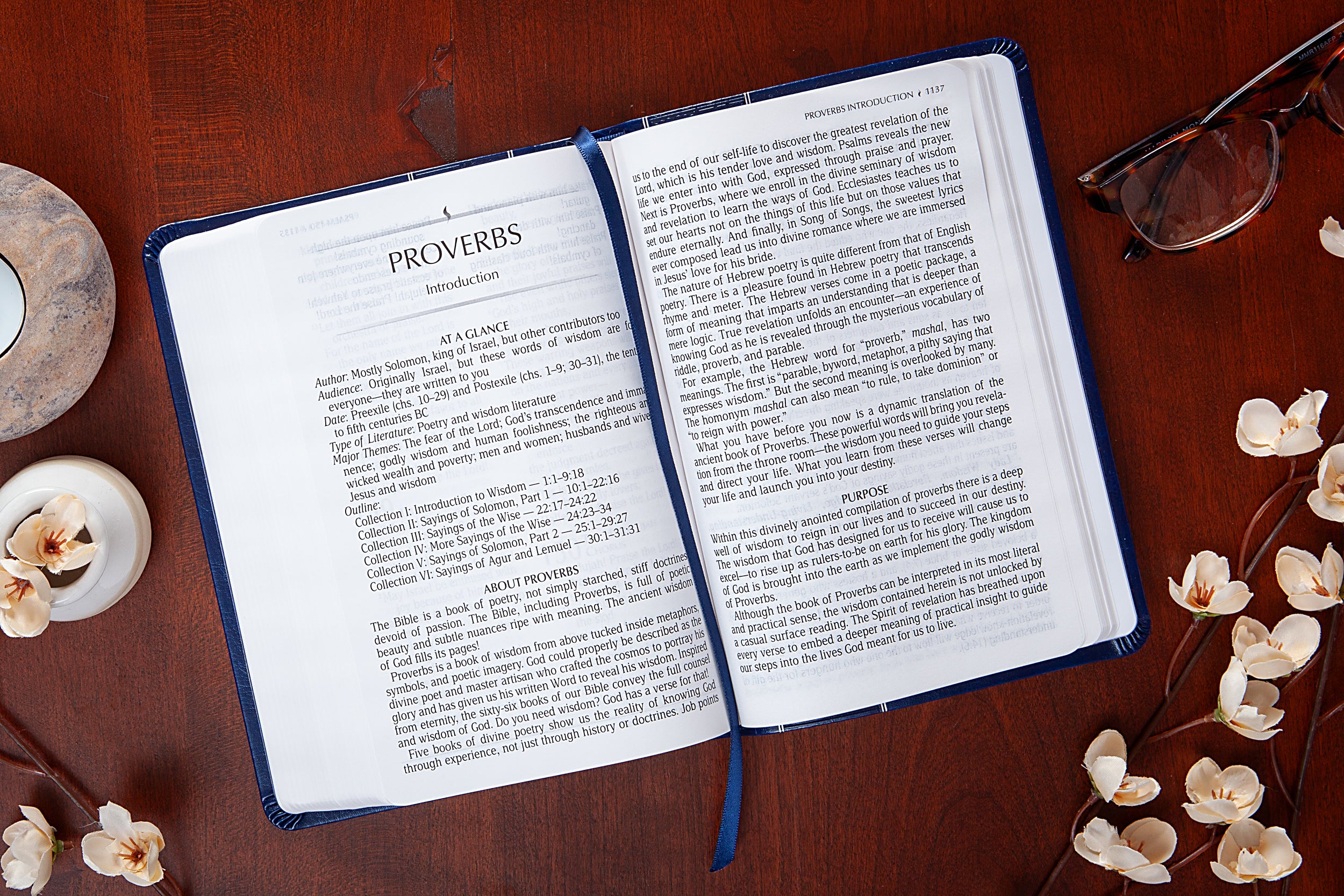 TPT New Testament 2020, Compact Giant Print, Navy (Black Letter Edition) (With Psalms, Proverbs and The Song Of Songs)