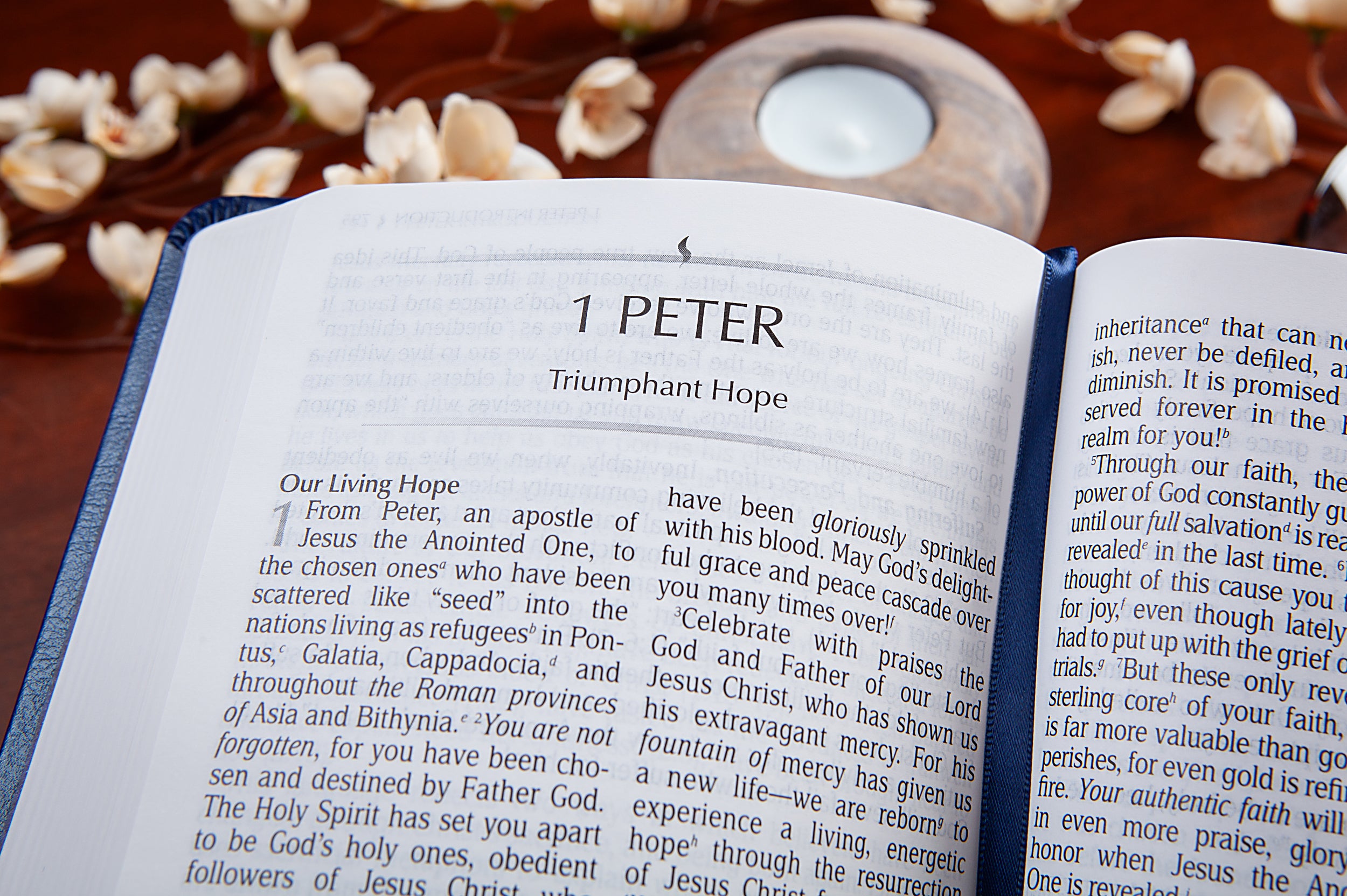 TPT New Testament 2020, Compact Giant Print, Navy (Black Letter Edition) (With Psalms, Proverbs and The Song Of Songs)